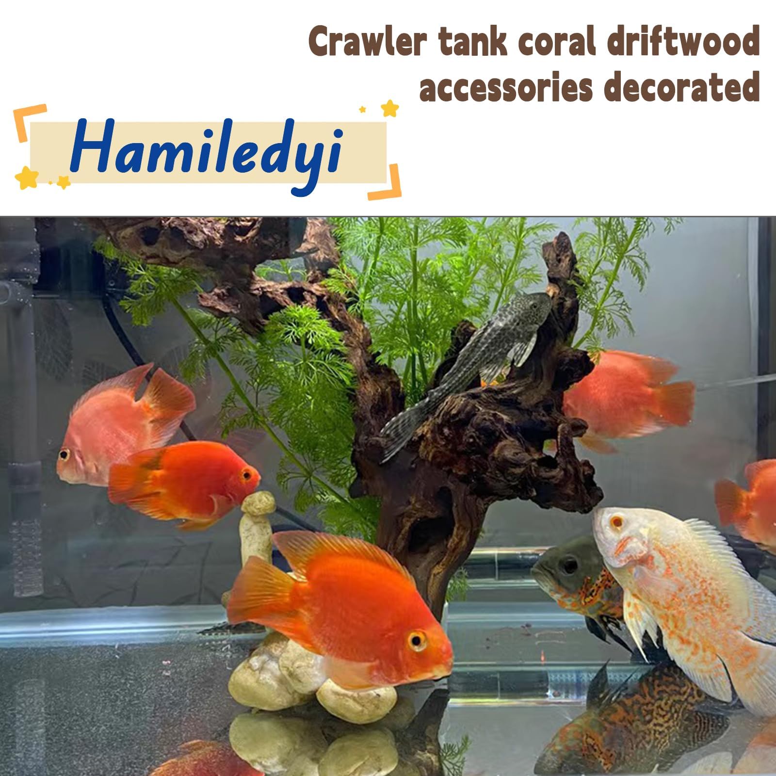 Hamiledyi Aquarium Driftwood 3PCS Natural Trunk Driftwood Assorted Branches 8-12 Reptile Wood Decor Terrarium Ornament Fish Tank