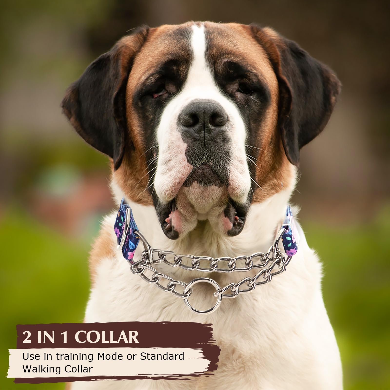 Martingale Collar For Dogs With Steel Chain, No Pull Dog Collar With Purple Bull Flower Design, Adjustable No Choke Dog Collar,