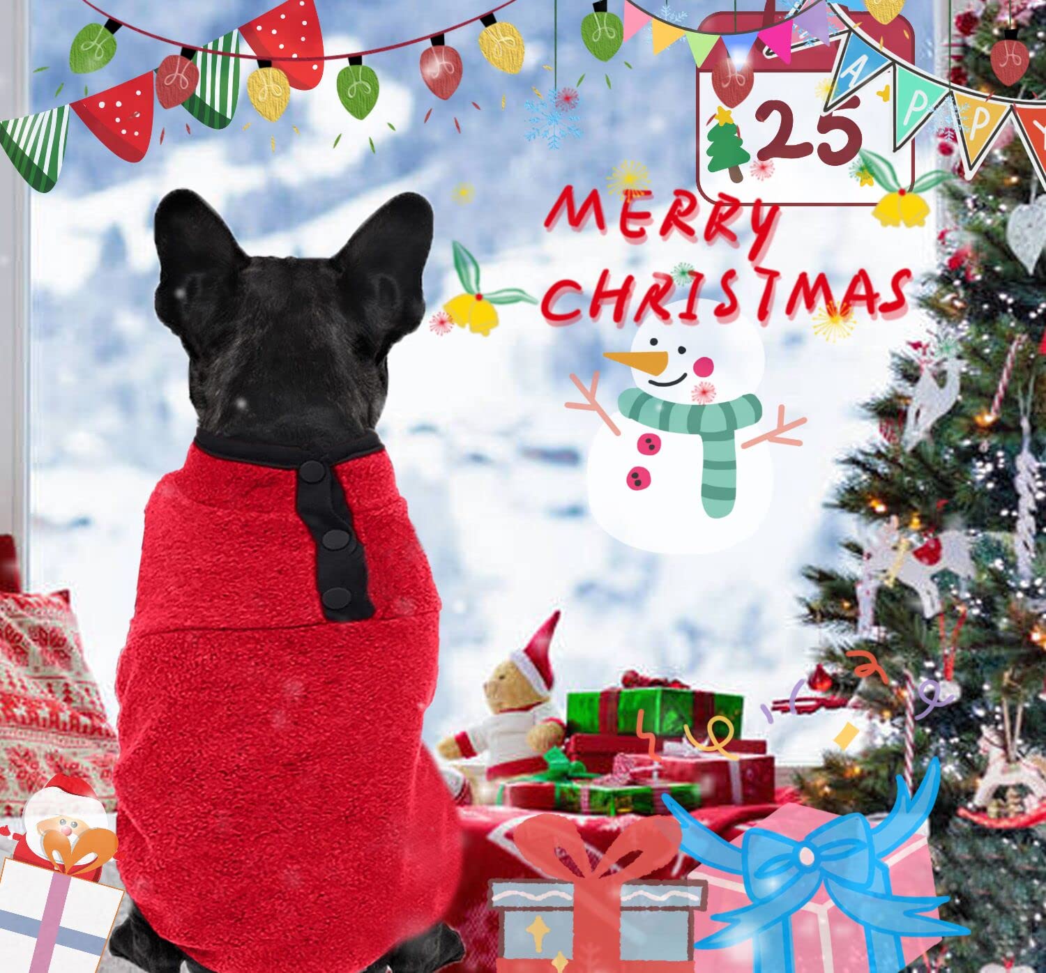 2 Pack Dog Fleece Vest Sweater, Warm Pullover Fleece Puppy Jacket, Autumn Winter Cold Weather Coat Clothes, Pet Stretch Fleece Apparel With Buttons For Small Medium Dog Cats (Red+Blue, X-Small)