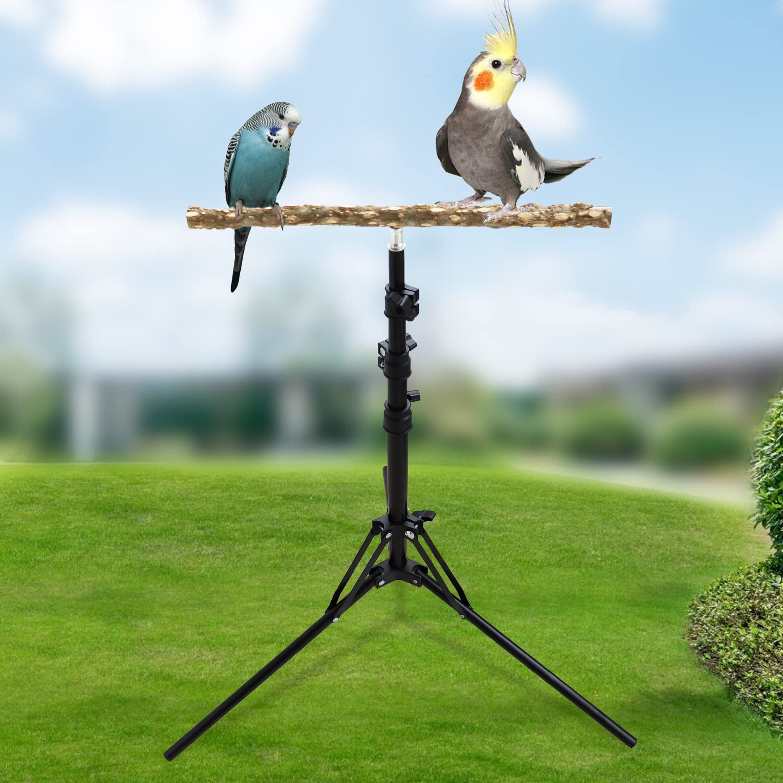 16-63 Inch Height Adjustable Bird Perch Stand, Natural Pepper Wood Parrot Perch Toy, Bird Training Perch Stand, Indoor And Outdoor Bird Stands For Small To Medium Bird