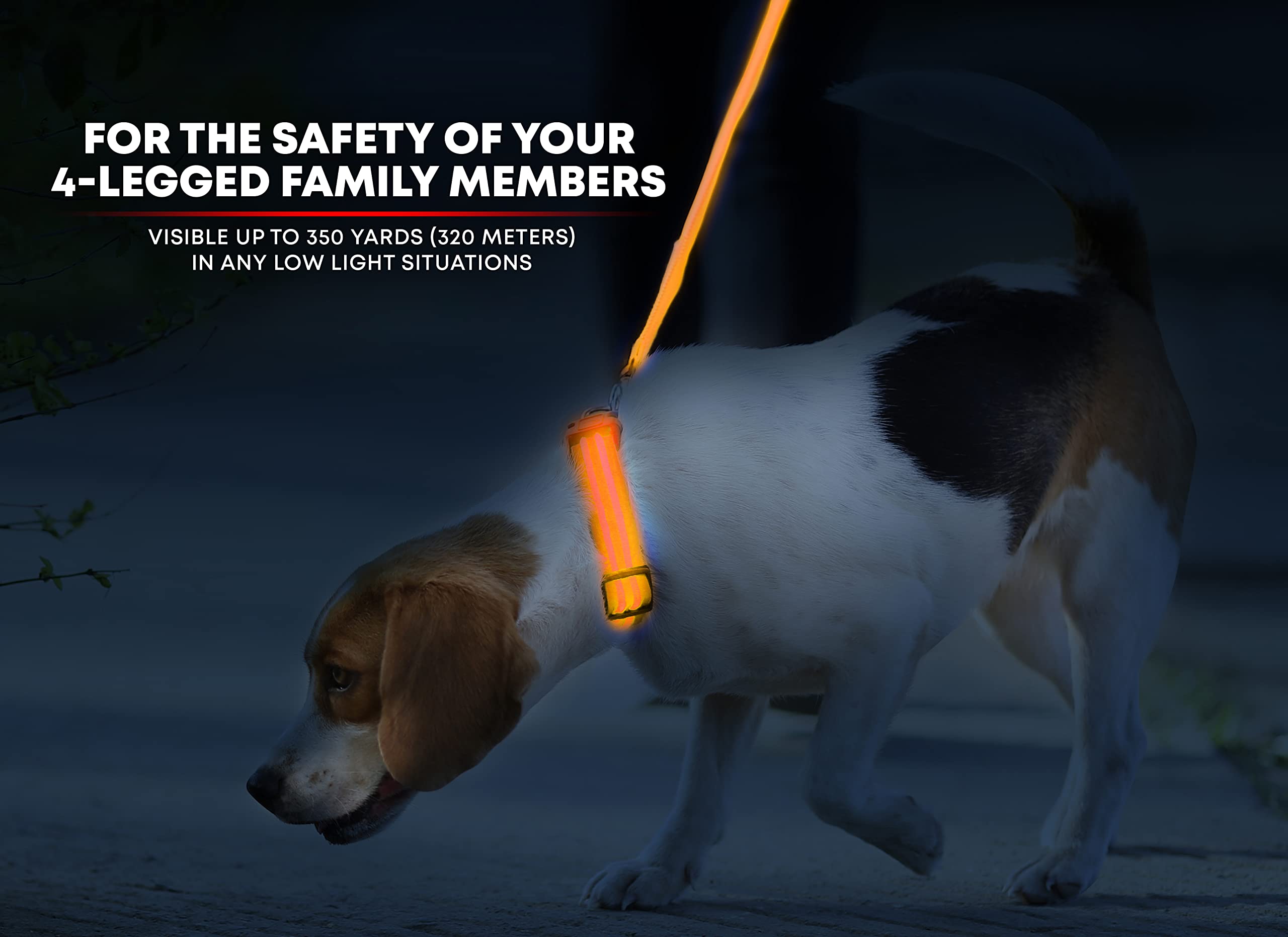 Illumiseen LED Light Up Dog Collar - USB Rechargeable, Weatherproof, X-Large (Bright Orange)