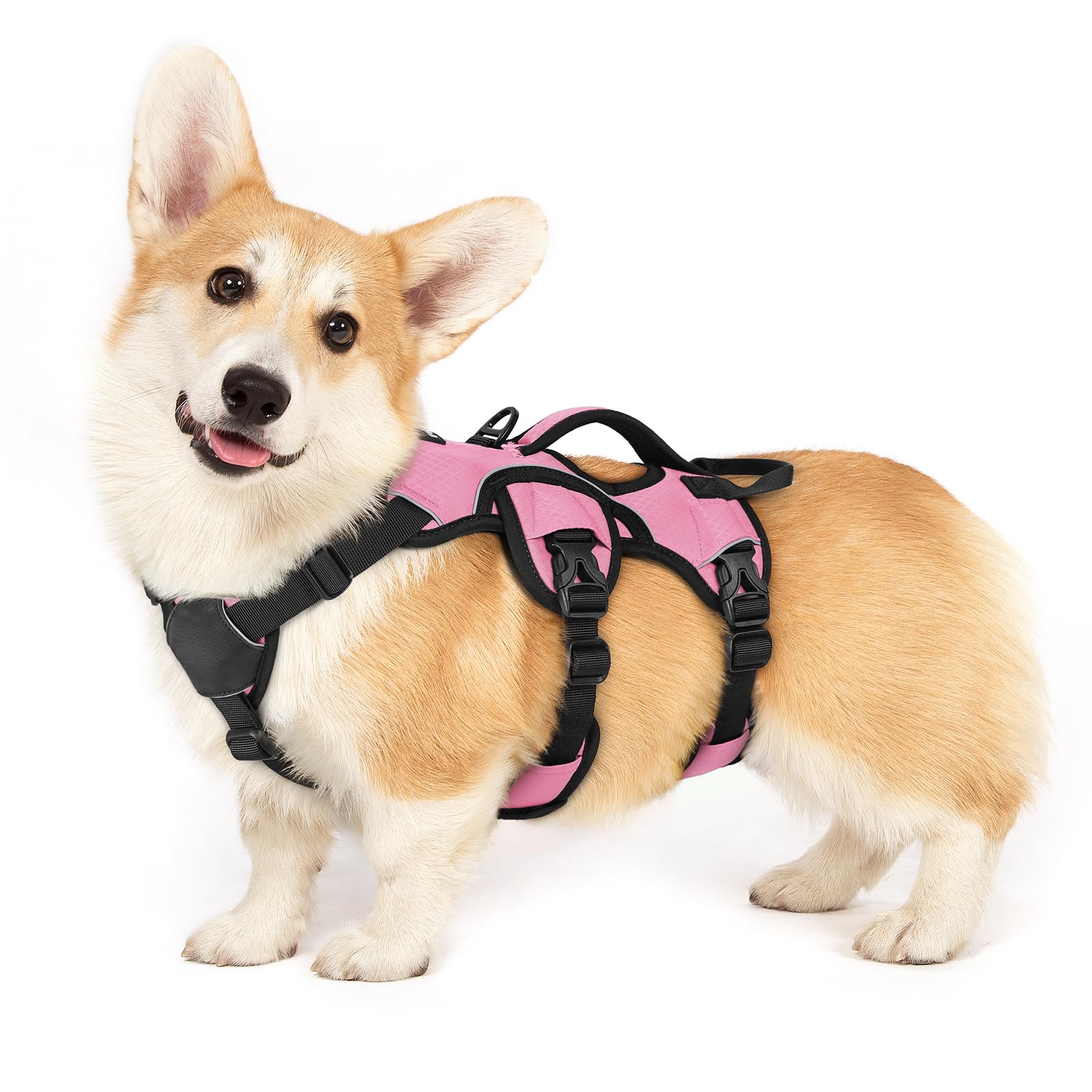 Rabbitgoo Escape Proof Dog Harness Small Sized Dog, Soft Padded Full Body Pet Harness, Reflective Adjustable Vest With Lift Hand