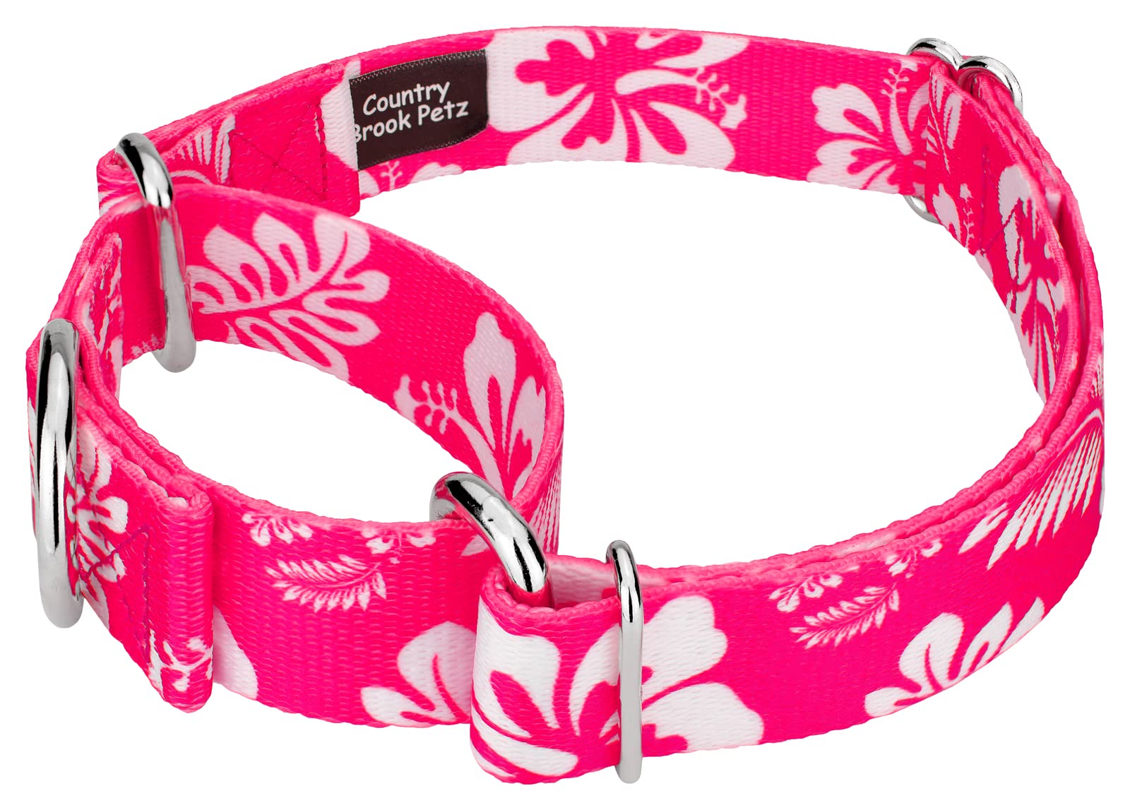 Country Brook Petz - Pink Hawaiian Martingale Dog Collar And Leash - Summer Breeze Collection Featuring Sunny Designs (1 Inch, Medium)