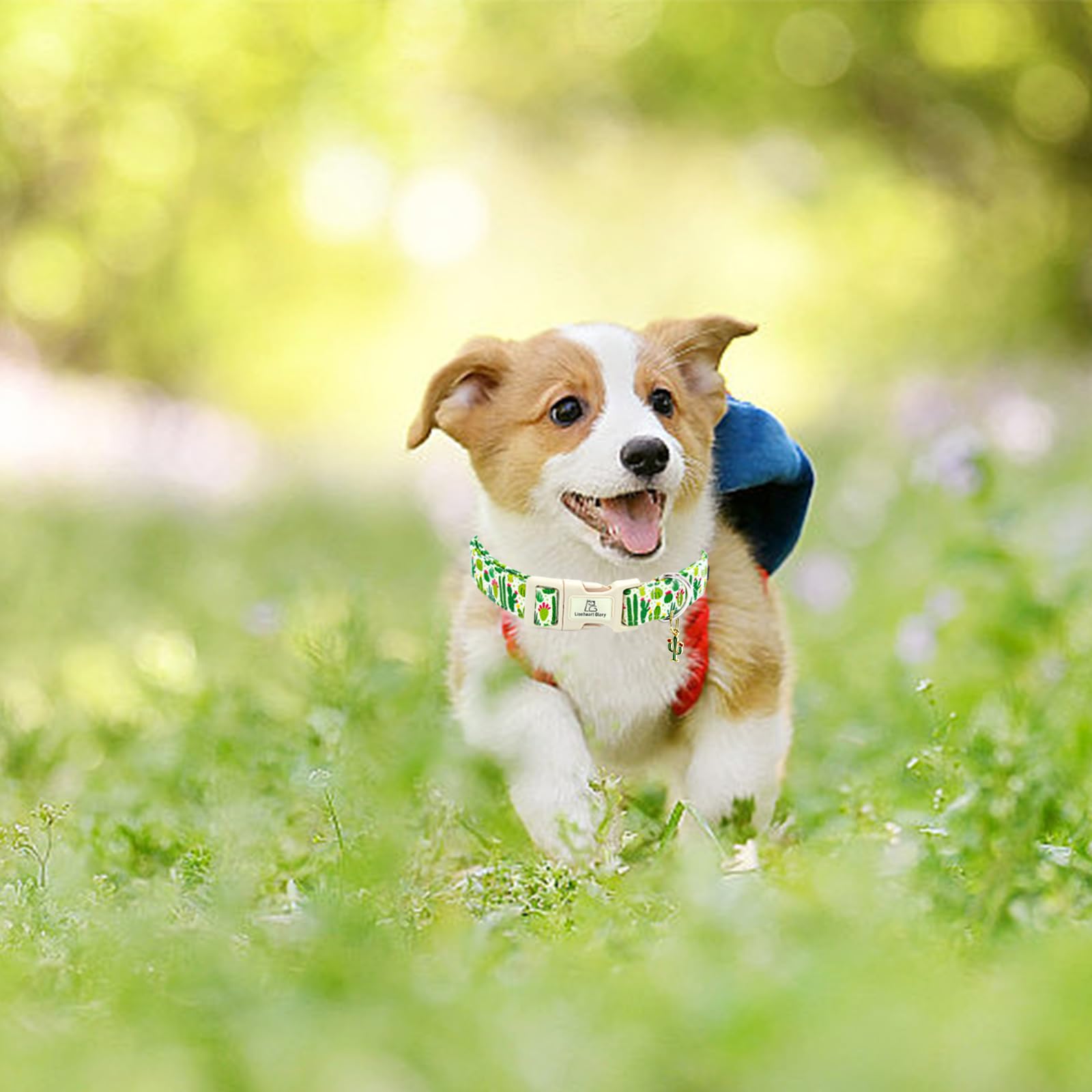 Lionheart Glory Dog Collar Green Cactus Print Collar For Large Dogs Spring Summer Female Or Male Collars Pets Gift Adjustable He