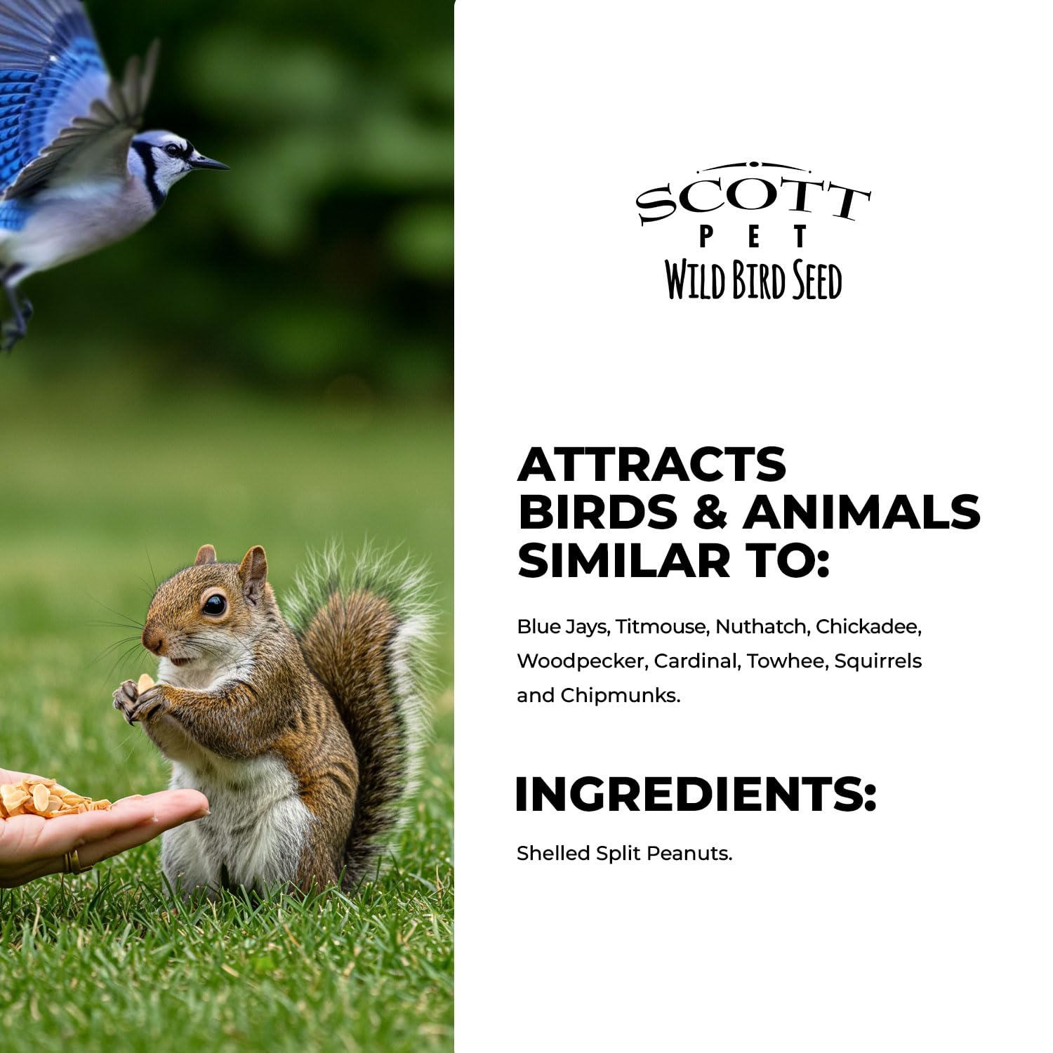 Scott Pet Wild Bird Seed - Split Peanuts, 8 lbs Bag, High Protein & Fiber, Ideal for Wild Birds