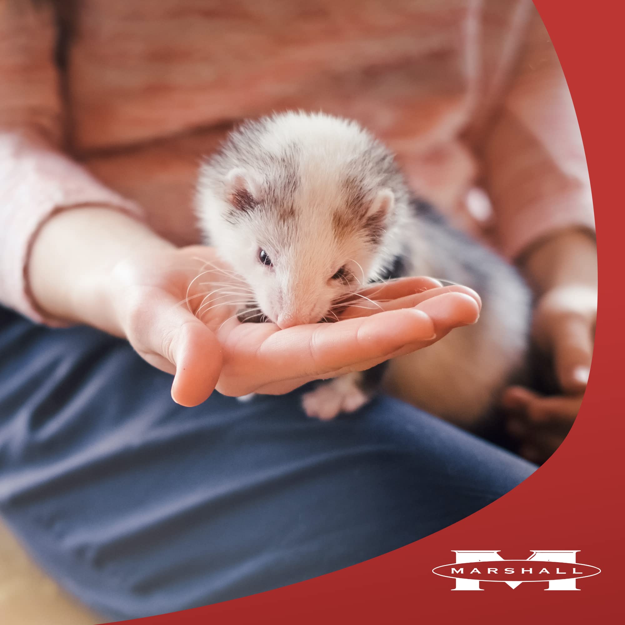 Marshall Pet Products Ferret Extreme Freeze-Dried Treats - Munchy Minnows, 1 oz - Nutritious & Delicious Healthy Snacks for Ferr