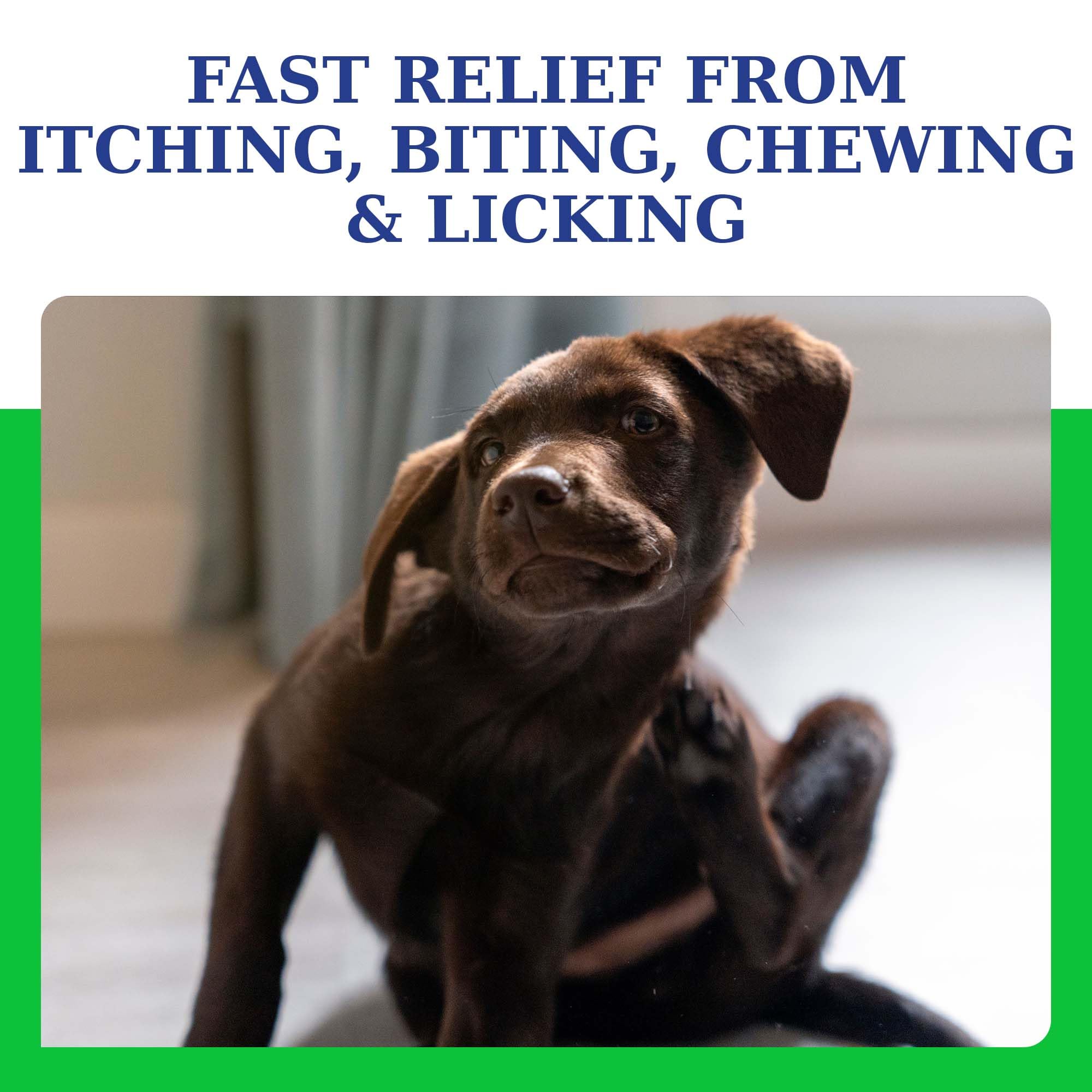 VetriMAX AtopiCream HC 1% Hydrocortisone Conditioner for Dogs - 8 oz Itch Relief for Dry, Itchy Skin and Allergies