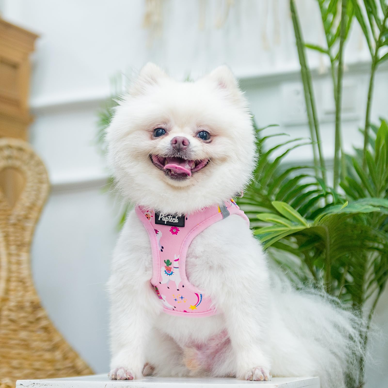 Pupteck Adjustable Dog Harness Collar And Leash Set, Step In No Pull Pet Harness For Small Medium Dogs Puppy Cats Outdoor Walking, Soft Mesh Padded Reflective Vest Harnesses, Light Pink Alpaca, L