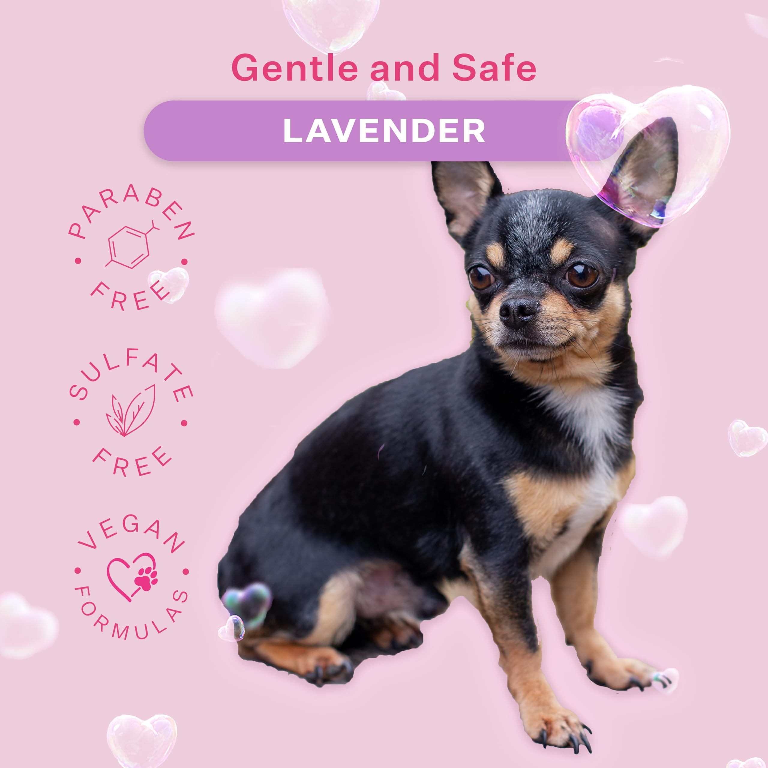 Paris Hilton Pet Iconic Lavender Scent No-Rinse Dog Shampoo, Waterless Dog Wash, Hypoallergenic, 280Ml - Quick Clean For Dogs, E