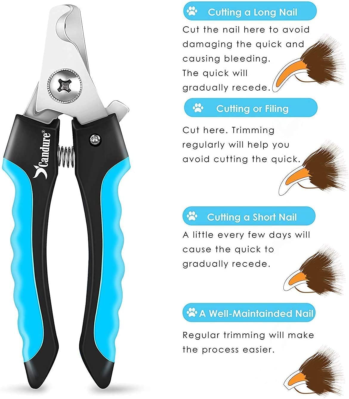 Candure Dog Nail Clippers Professional Dog Nail Trimmers Suitable For Large To Medium Dogs, Cats, Rabbits And Guinea Pigs - Safety Lock/Protective Guard To Avoid Over Cutting