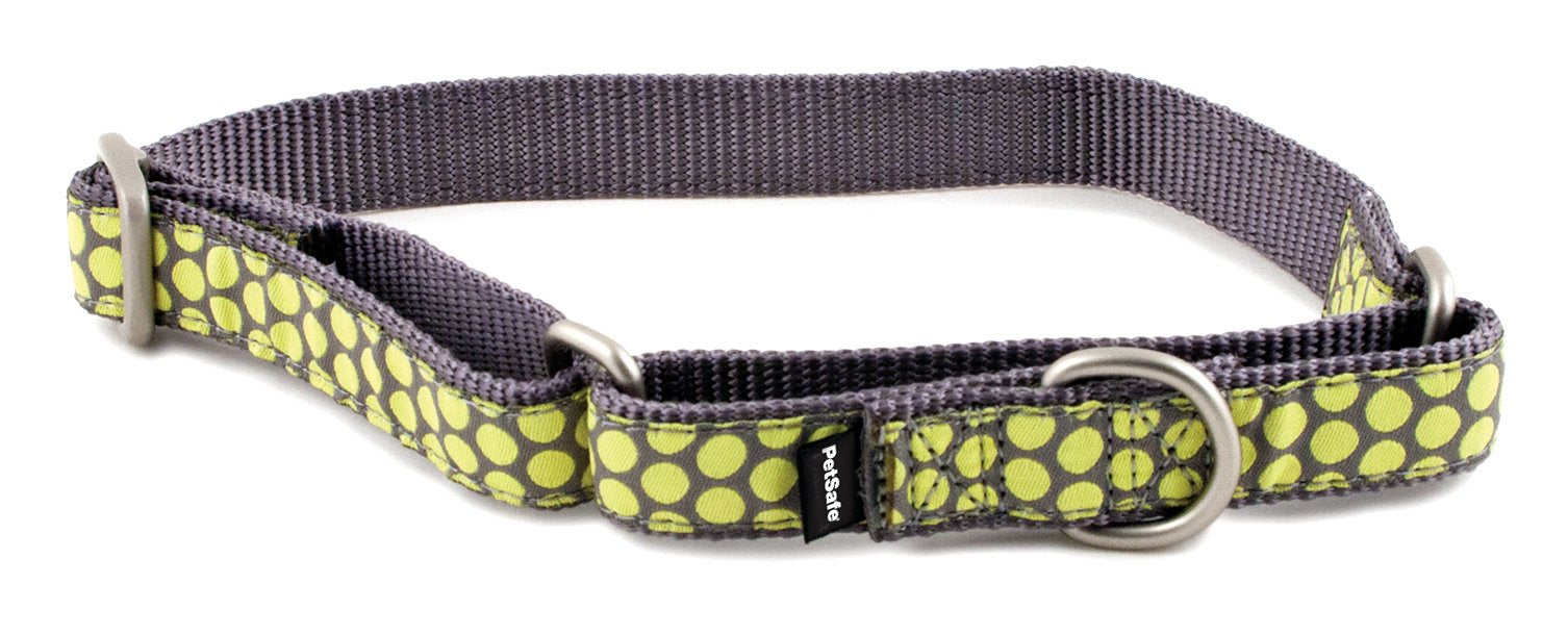 PetSafe Fido Finery Martingale-Style Dog Collar, 1-Inch, Large, Dotted Bliss