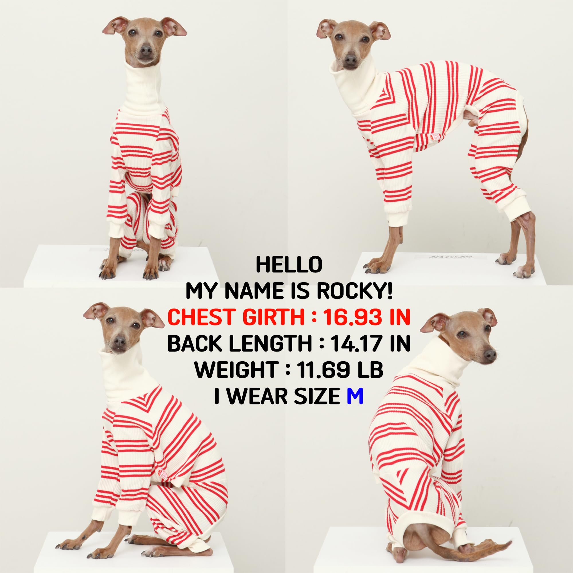D Doggy Star Italian Greyhound Clothes Soft Stretchy Onesie Refined Stripe Outfit Whippet For Dog Coat (S,Onsi Red Str)