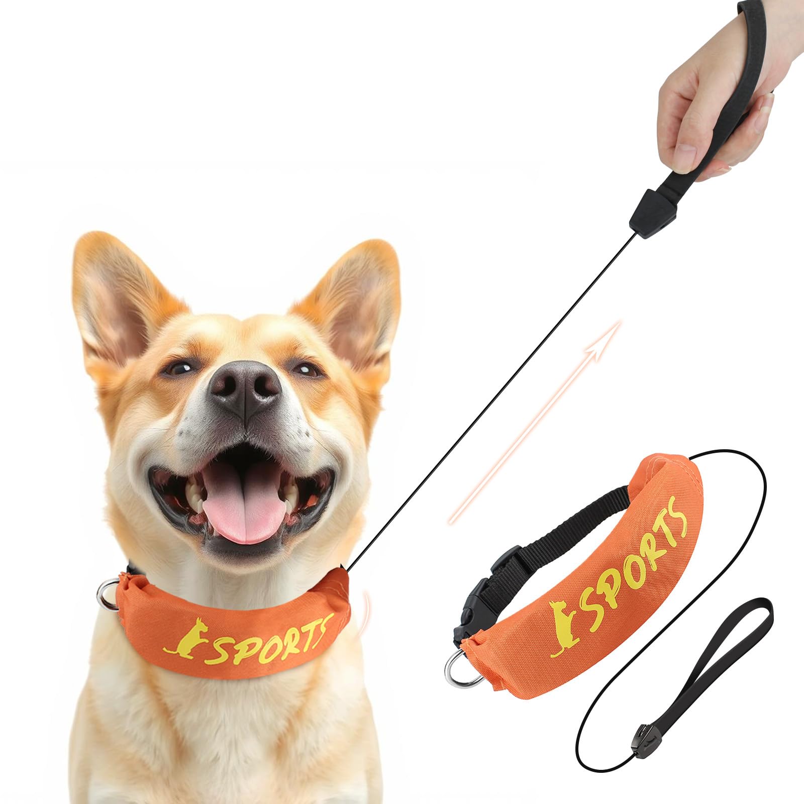 Namsan Retractable Dog Leash Collar For Medium To Large Dogs, Dog Collar With Retractable Leash Built-In, All-In-One, Adjustable