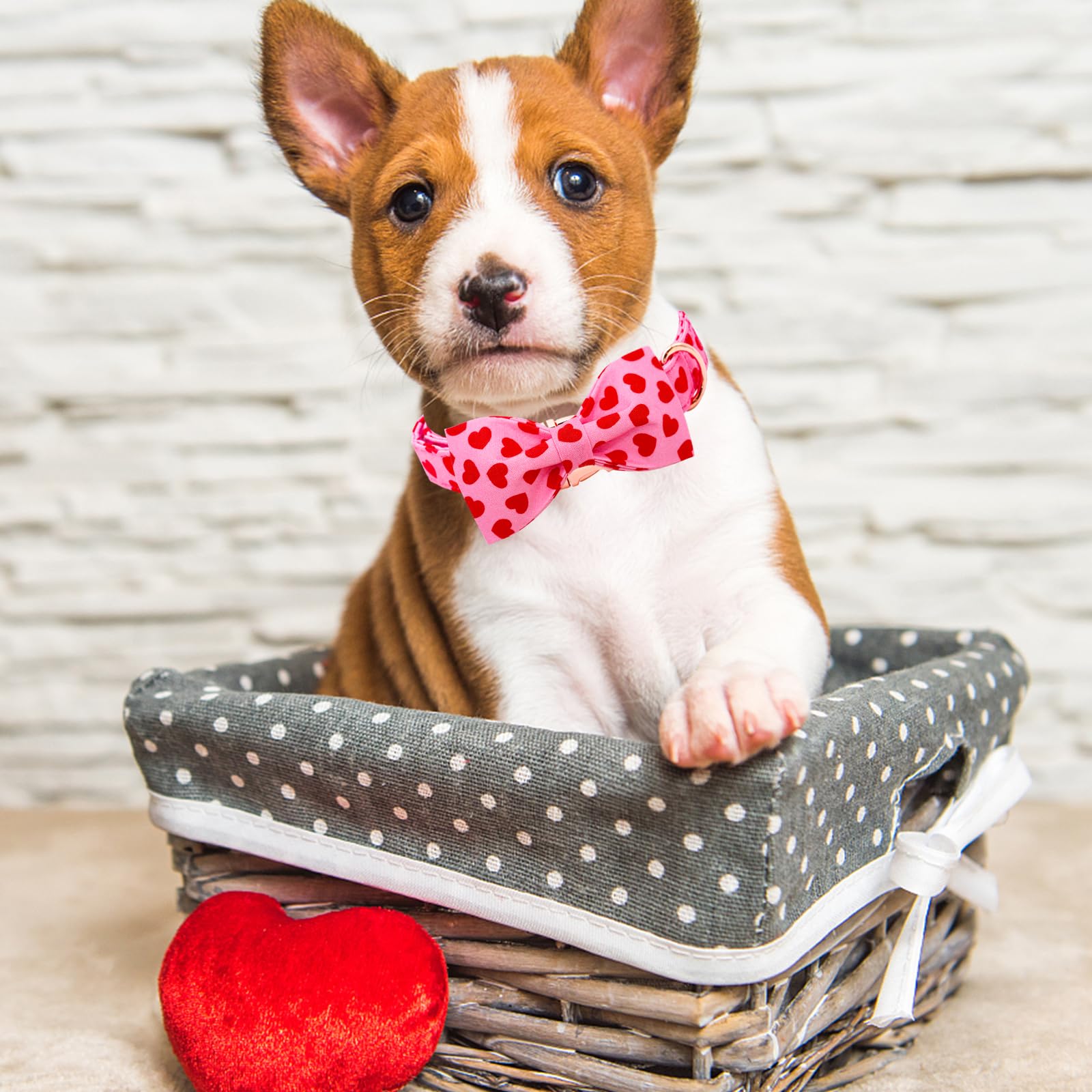 Lionheart Glory Dog Bow Collar Valentine'S Day Dog Collar For Small Dogs, Hearts Dog Collars With Bowtie Spring Dog Collar Pet C