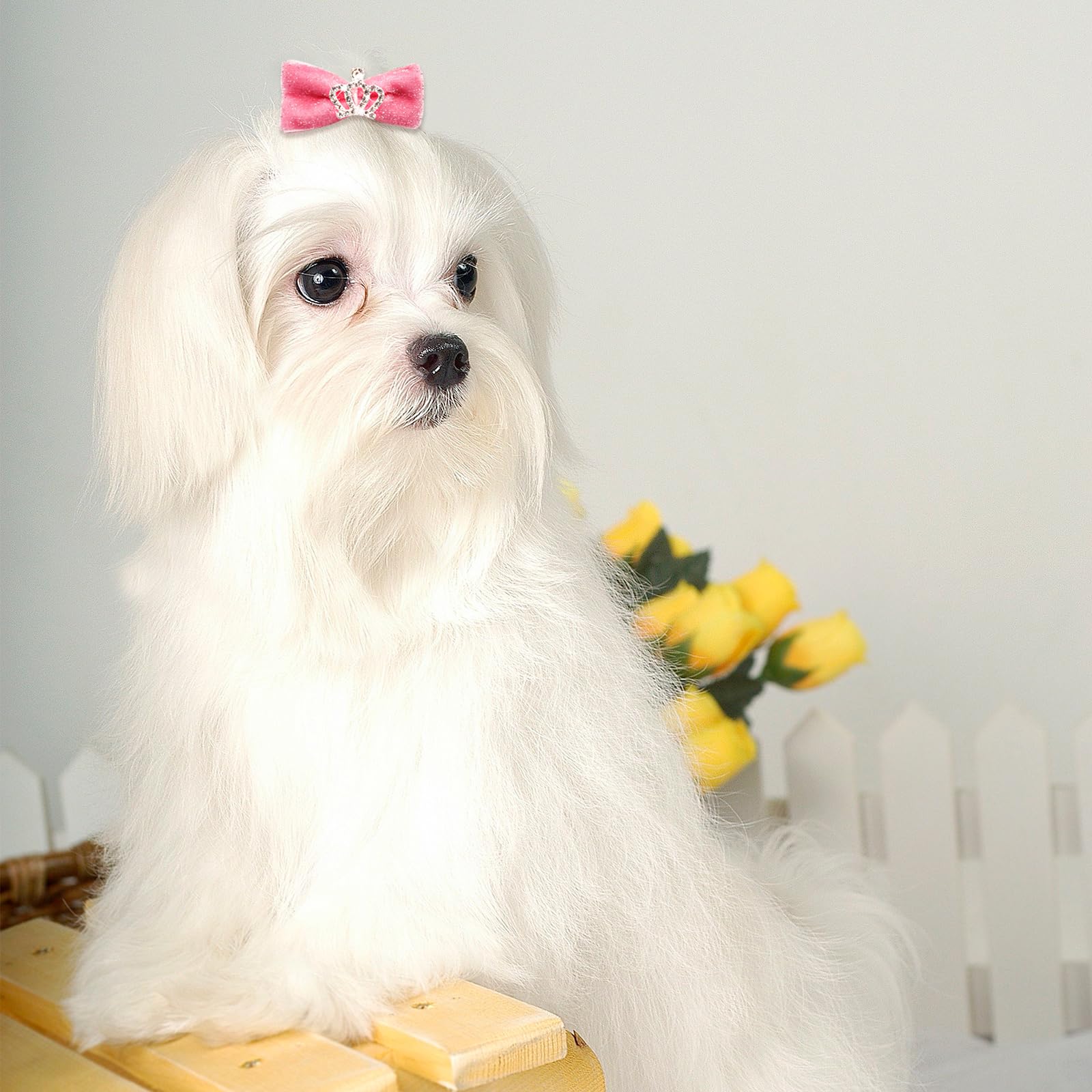 Senniea 100Pcs Crown Dog Hair Bows,Mix Small Medium Dog Hair Grooming Bows,Puppy Cute Solid Hair Bows With Rubber Bands For Dail