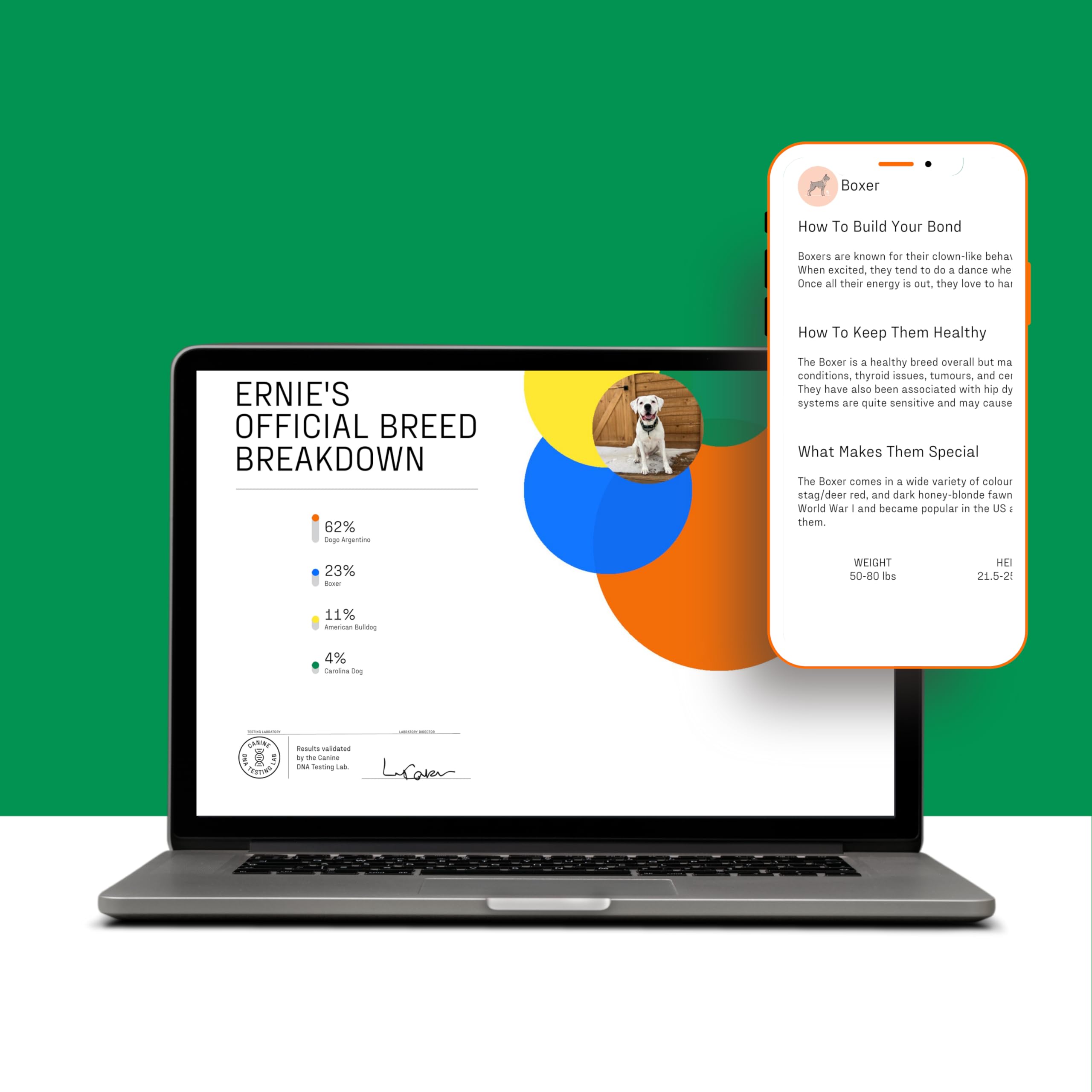 Dna My Dog - Essential Breed ID Test | 99% Accuracy | DNA Analysis of 360+ Dog Breeds | Fastest Turnaround Less Than 3 Weeks | L