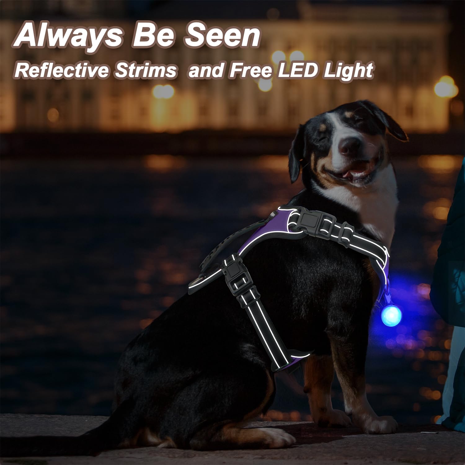 Perperqer Dog Harness Purple No Pull Y Shaped for Medium Sized Dog, Small to Large Dogs Reflective Adjustable Easy Walk Puppy Ha
