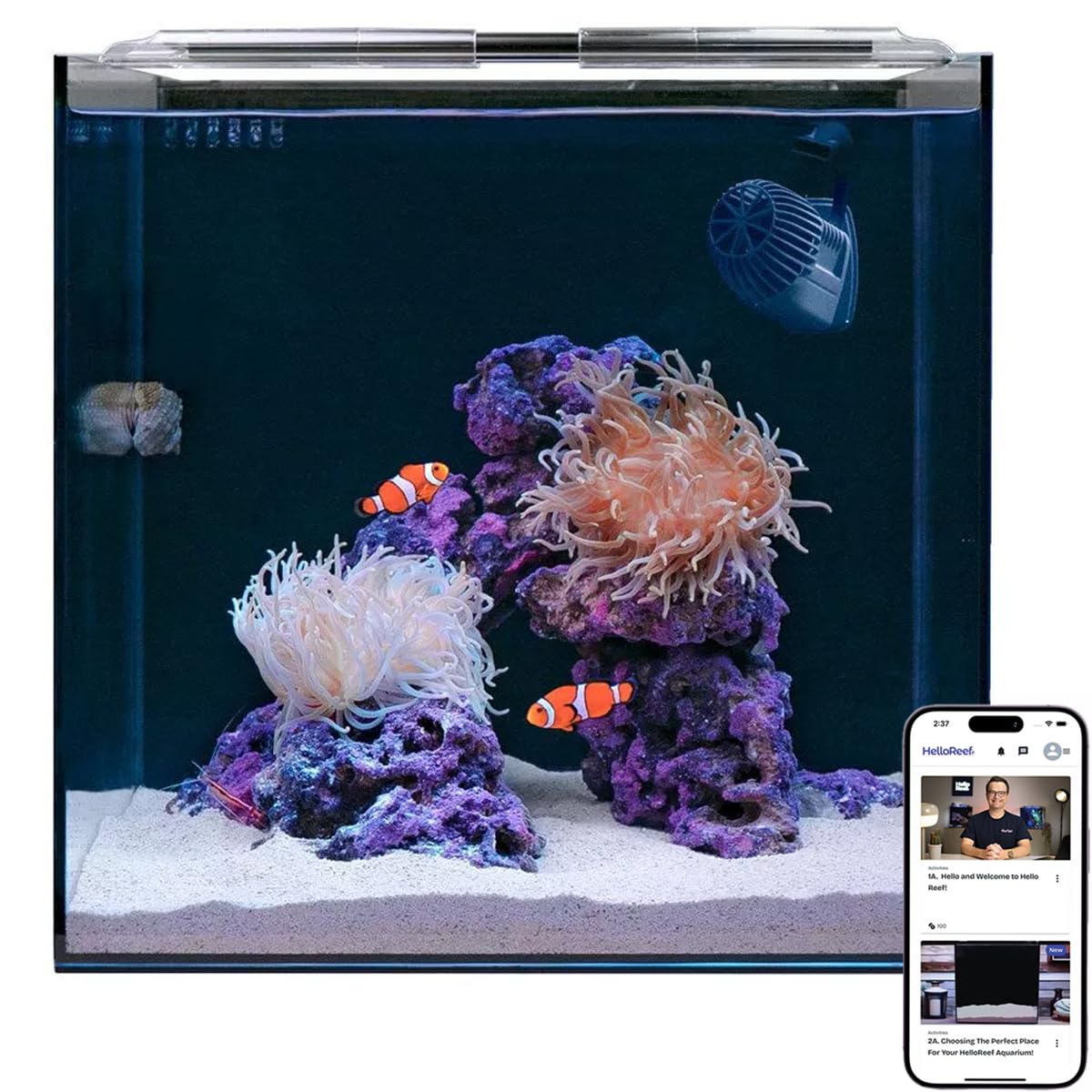 HelloReef 15 Gallon Beginner Clownfish Saltwater Aquarium Kit with App Controlled Smart LED Lighting, Filtration, Decor, and Set
