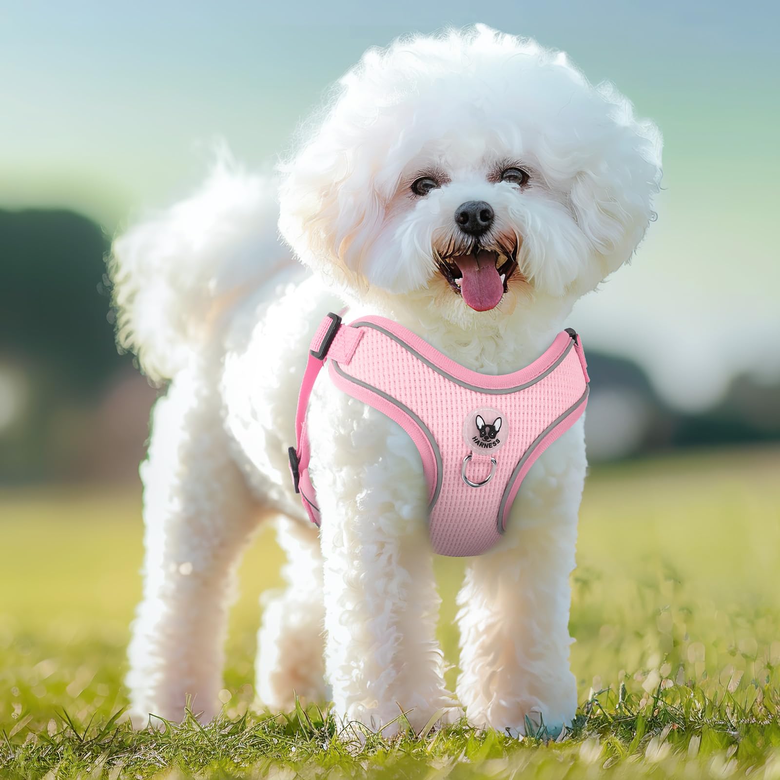 Dog Harness And Leash Set,4 Point Adjustable Reflective Dog Vest Harness,No Pull Harness-Leash For Small Medium Large Sized Dogs