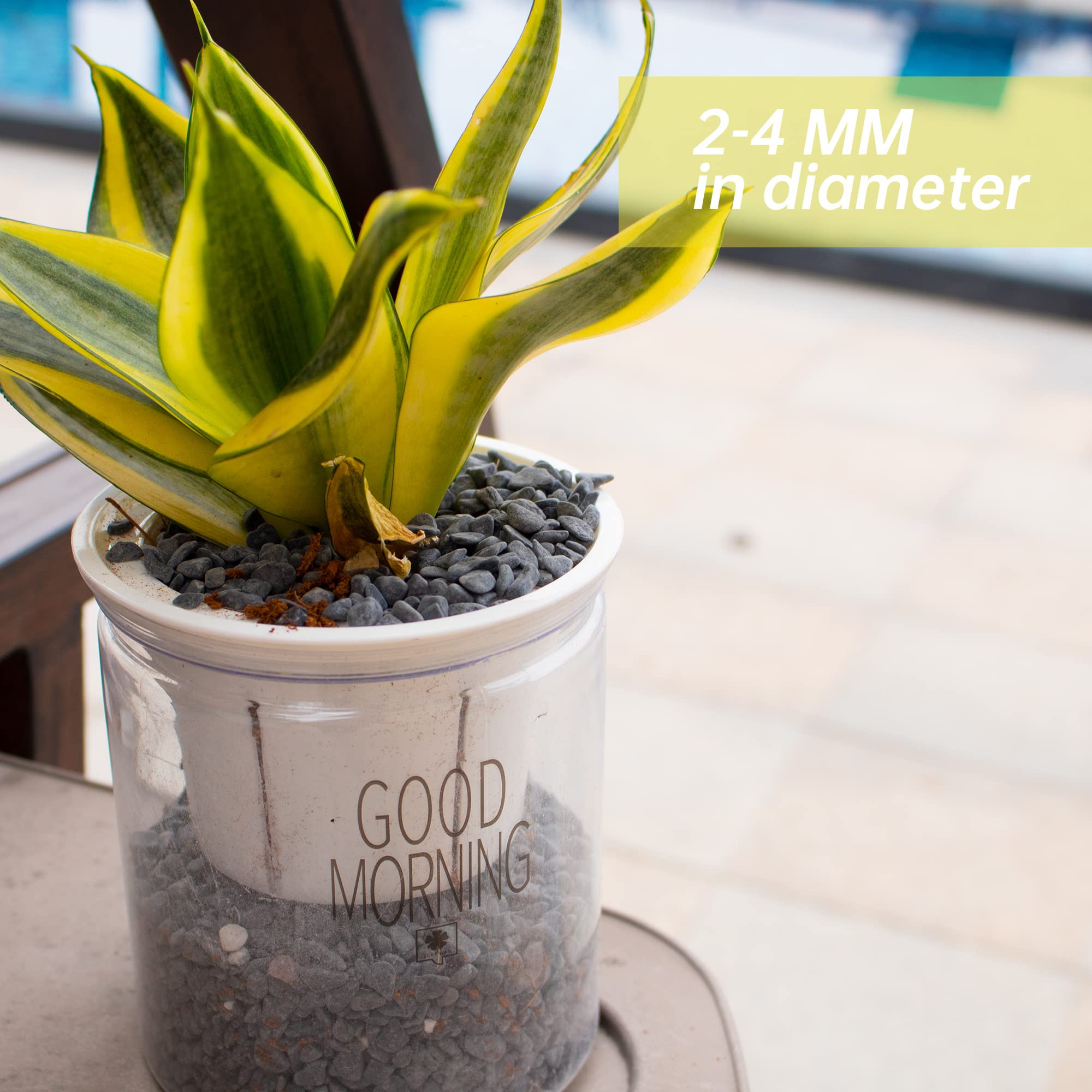 18lb Black Cactus Pea Gravel Rocks,1/4 Inch Pebbles for Indoor Plants, Natural Succulent Rock and River Rocks Decorative for Aqu