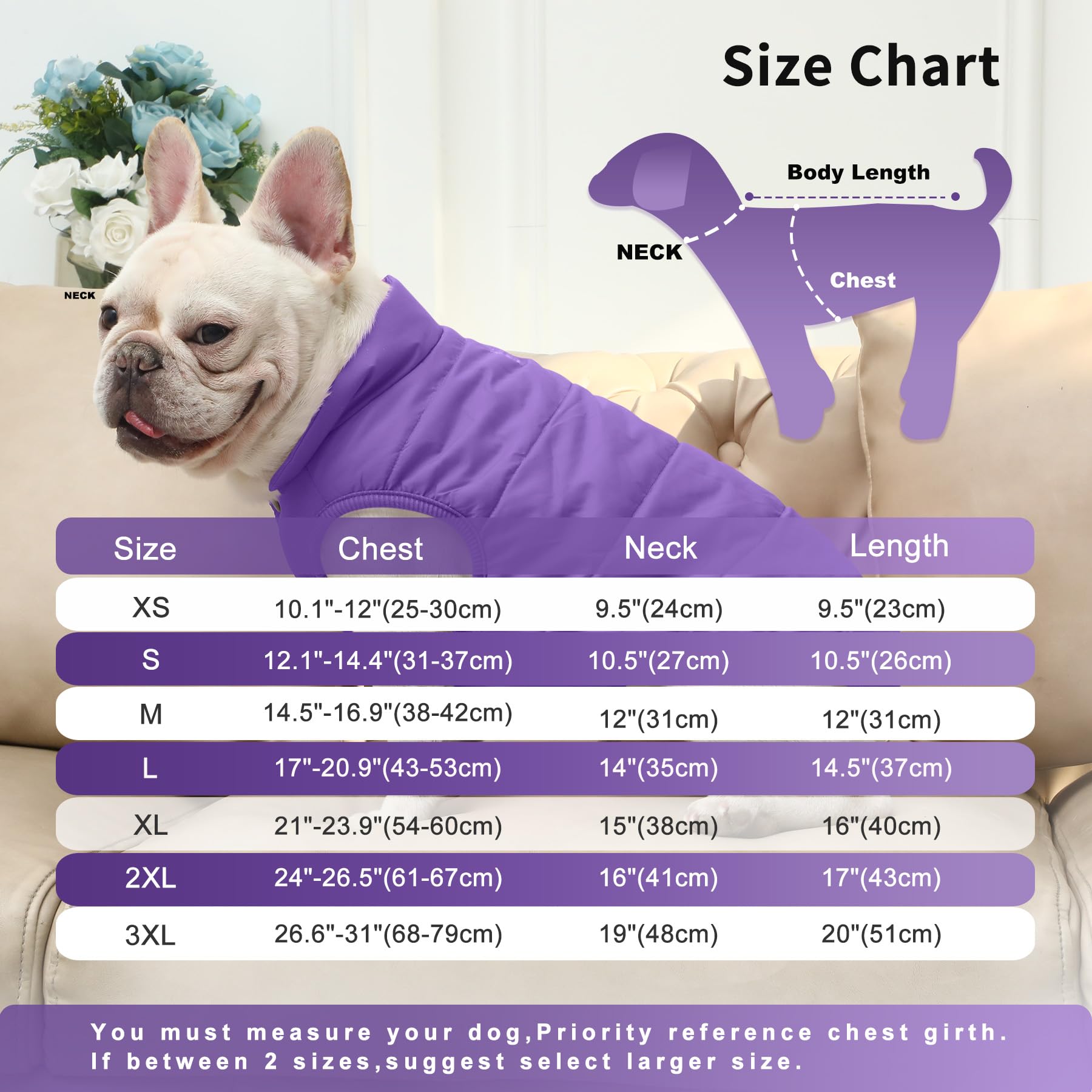 Joydaog 2 Layers Fleece Lined Warm Dog Jacket For Puppy Winter Cold Weather,Soft Windproof Small Dog Coat,Purple M