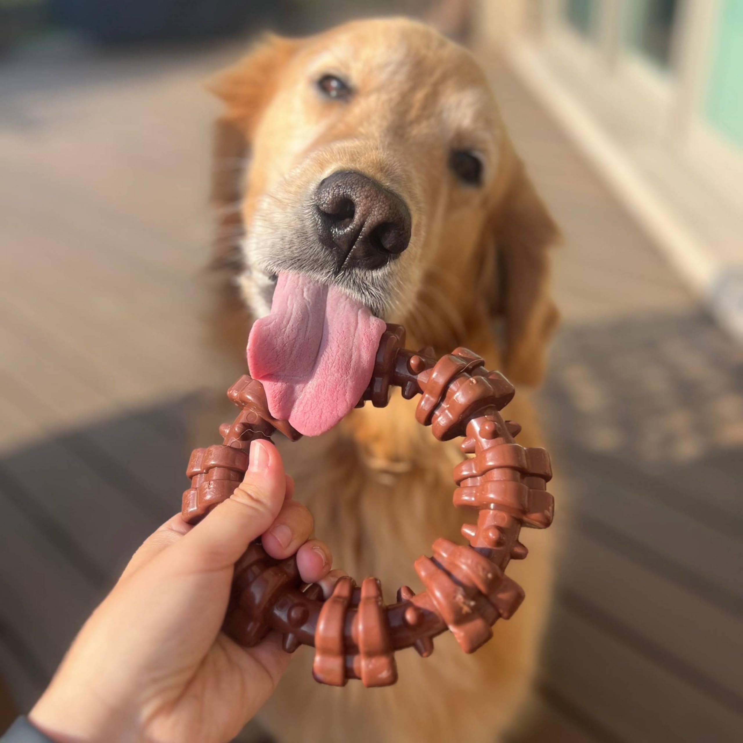 Nylabone Power Chew Textured Dog Chew Ring Toy - Tough and Durable Dog Chew Toy - Indestructible Dog Toys for Aggressive Chewers