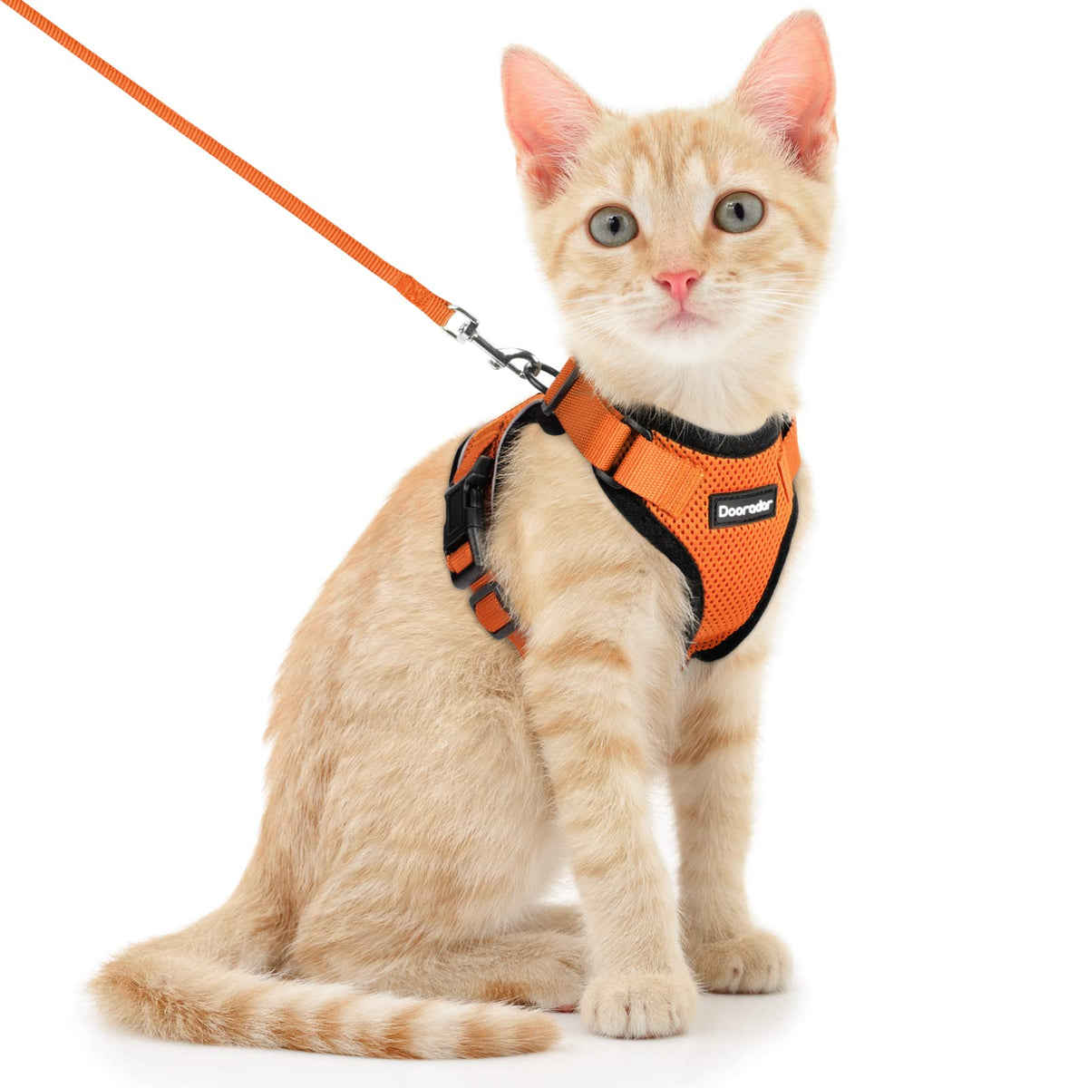 Dooradar Cat Harness And Leash Set, Escape Proof Safe Adjustable Kitten Vest Harnesses For Walking, Easy Control Soft Breathable Mesh Jacket With Reflective Strips For Cats, Orange, S