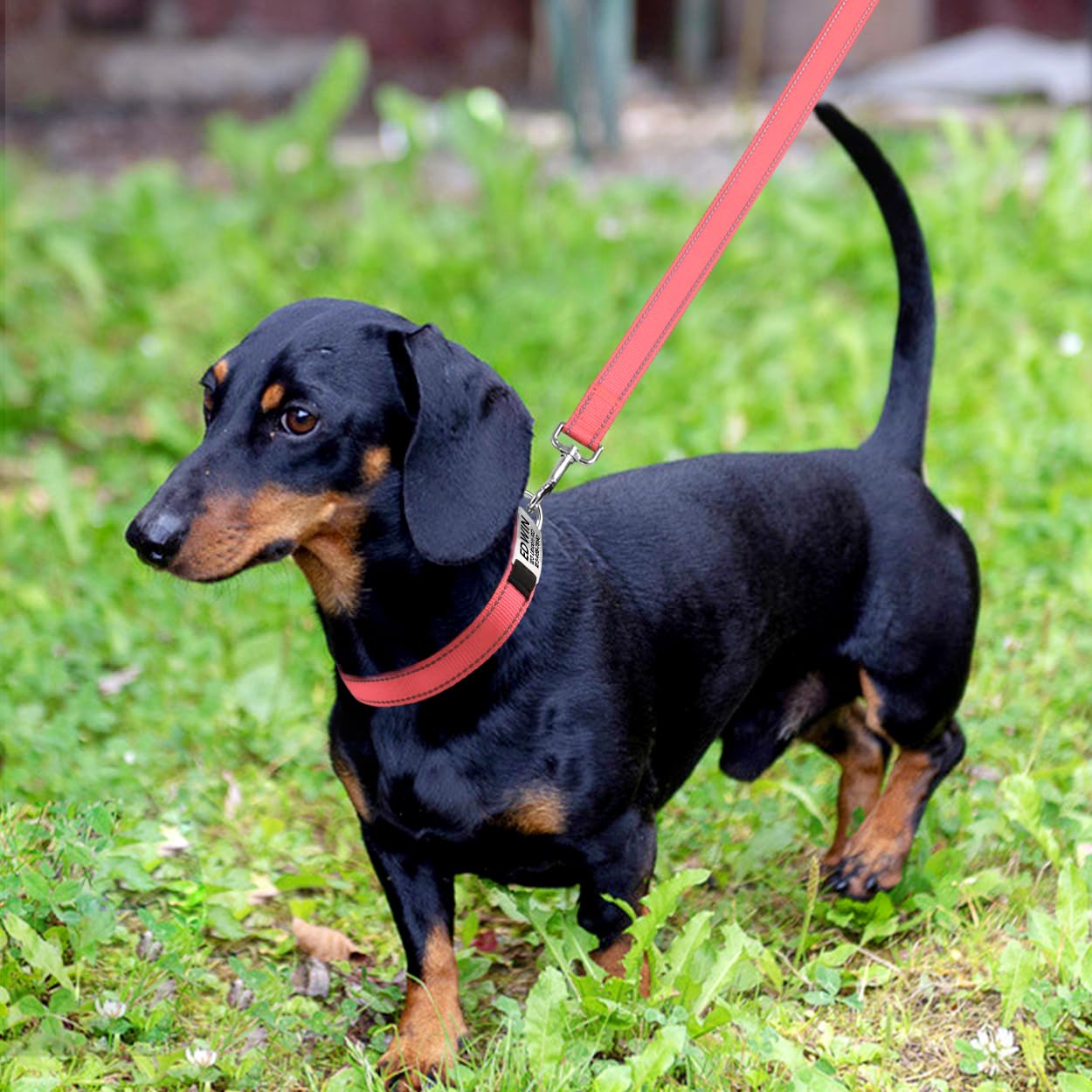 Joytale Personalized Dog Collars, Reflective Nylon Dog Collar With Engraved Name Plate, Customized For Puppy And Small Dogs, Pink, Xs