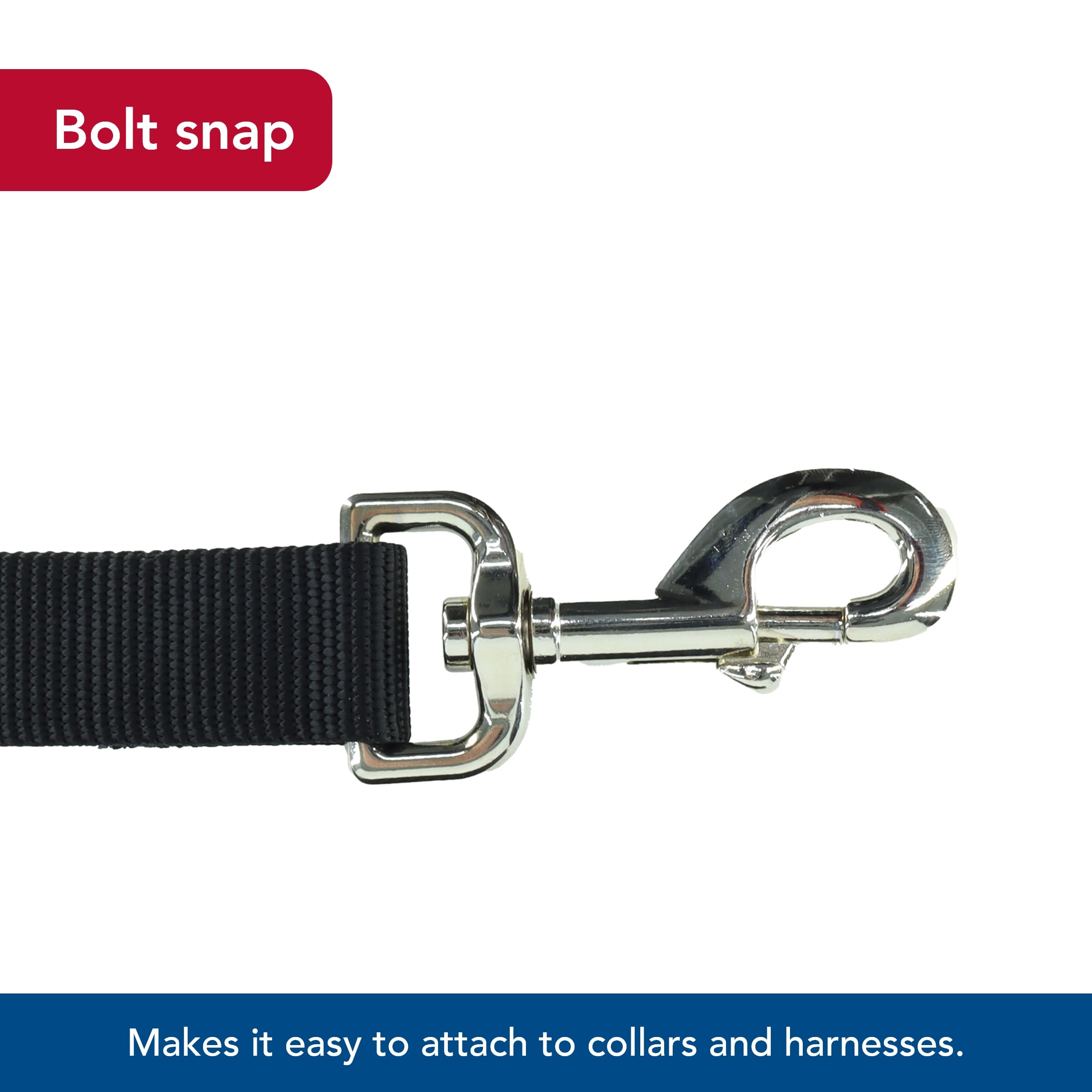 Coastal Pet Single-Ply Dog Leash - Sturdy Pet Leash - Comfortable & Stylish - Resists Fraying - Vibrant & Fade-Resistant Color - Black, 3/4' X 6'