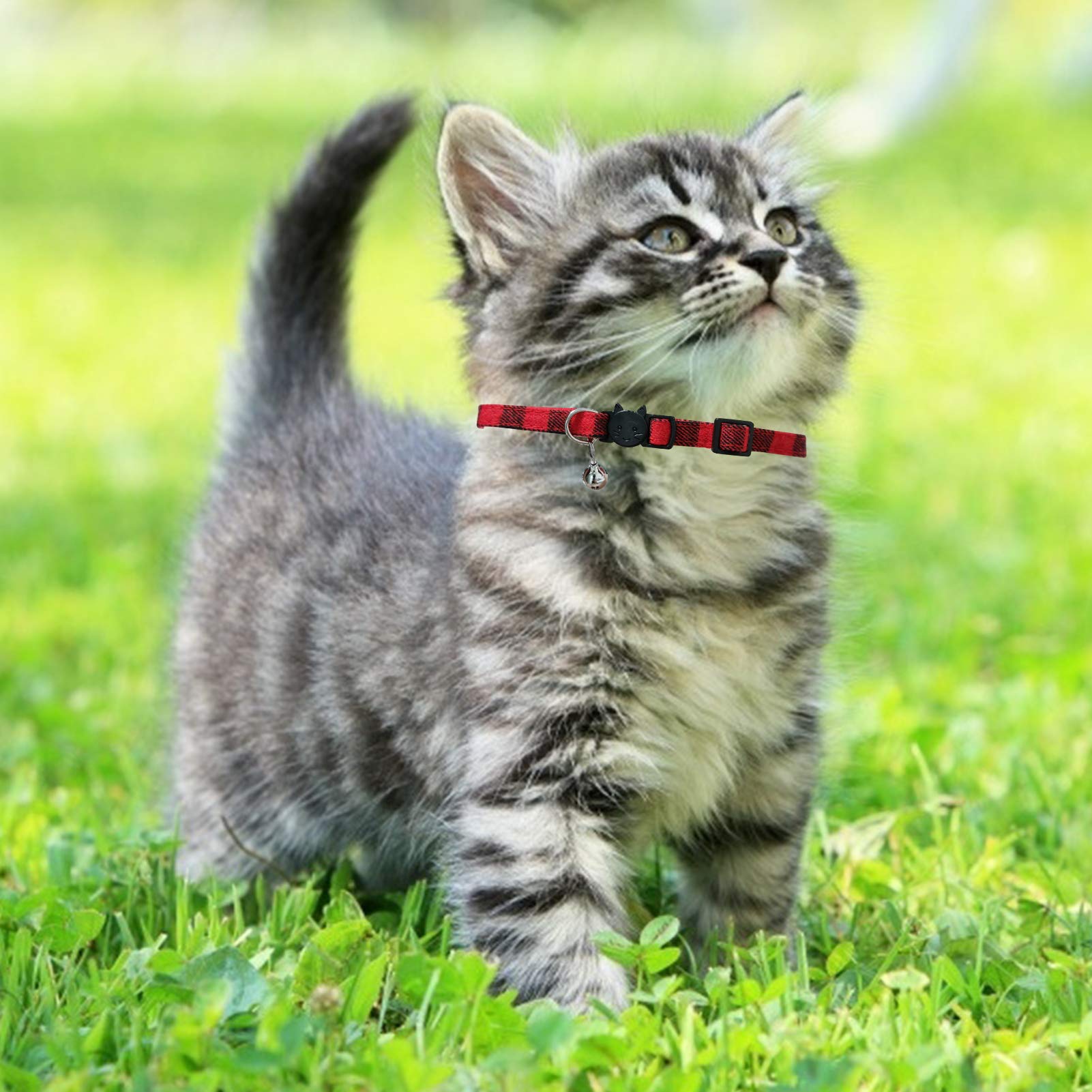 Mjiya Cat Collar With Bell, Breakaway Grid Collar With Plastic Buckle, Light Adjustable, Nylon, Kitty Collars (Red, M)