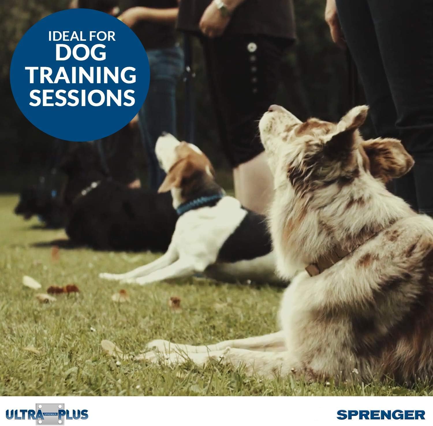 Herm Sprenger Pet Supply Imports Chrome Plated Training Collar With Quick Release Snap For Dogs, Medium, 3.0Mm, 21-Inch