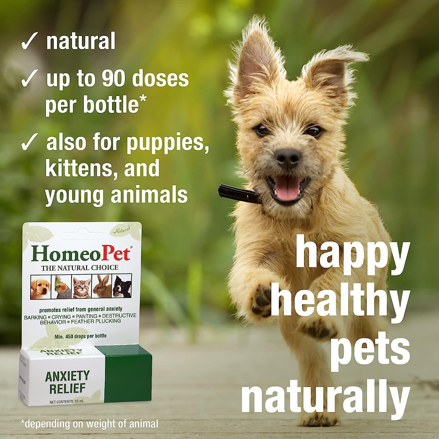 Dog Homeopet Anxiety Relief