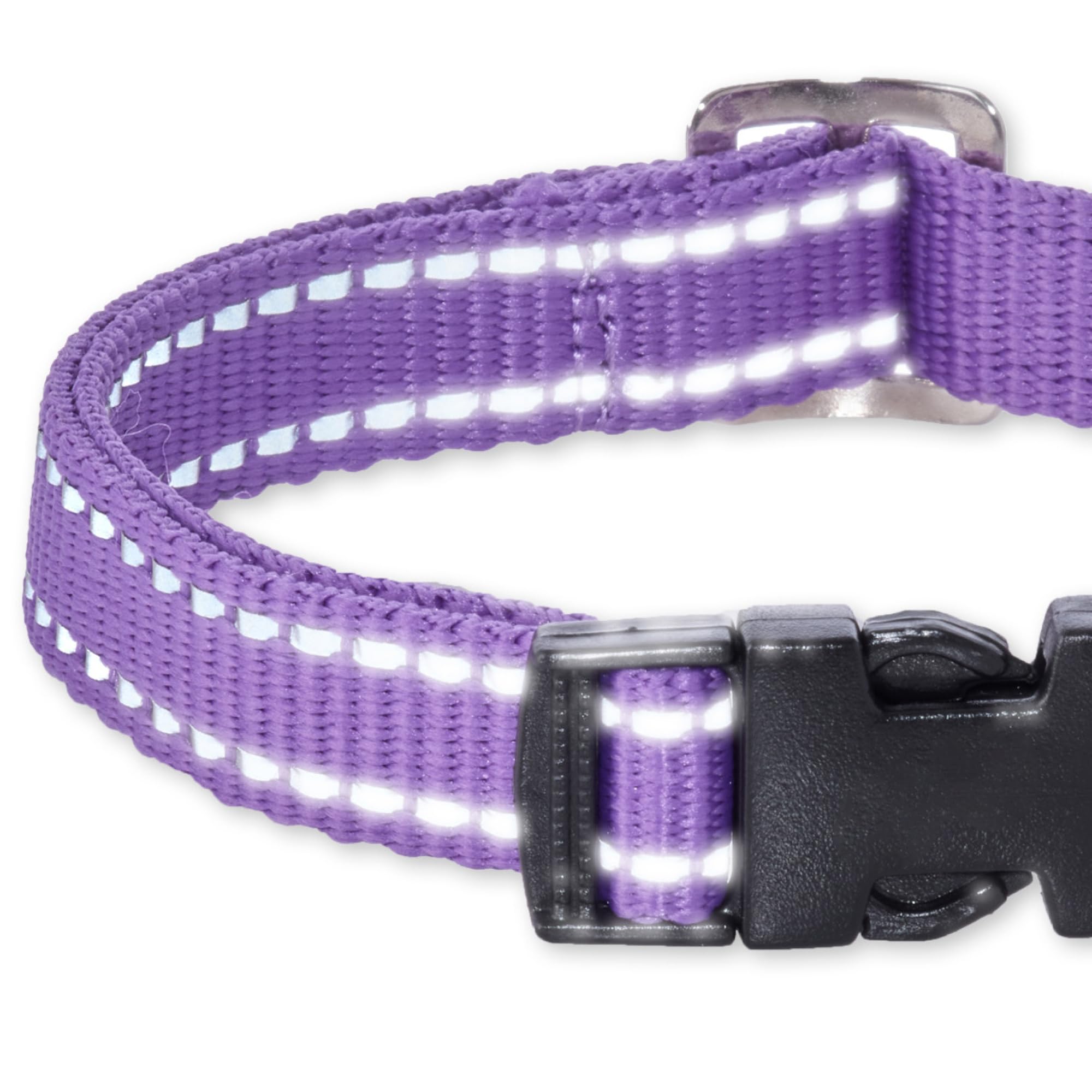 Pet Passion Adjustable Reflective Dog Pet Collar For Small, Medium And Large Dogs, Purple, X-Small