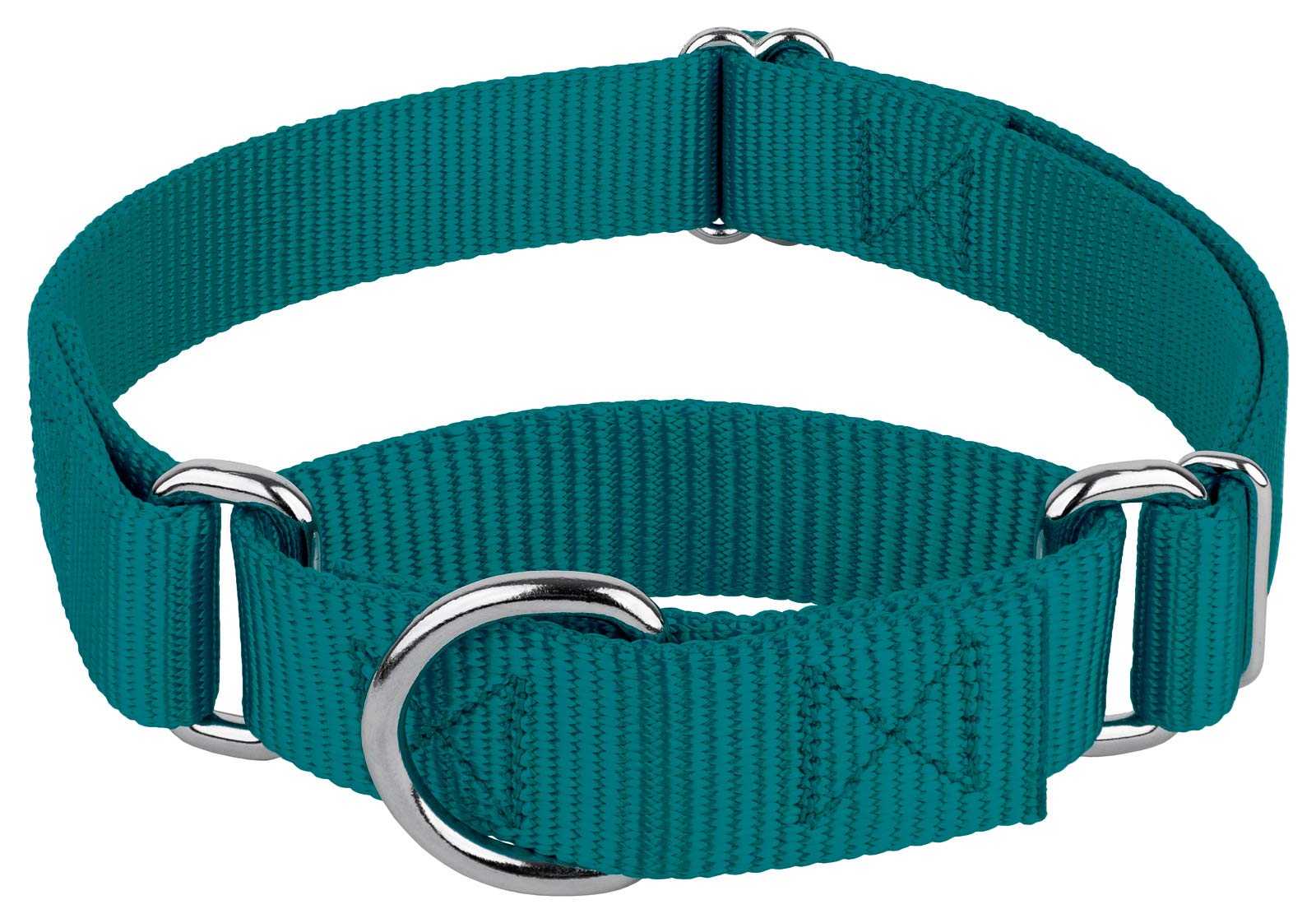 Country Brook Petz - Teal Martingale Heavy Duty Nylon Dog Collar - 21 Vibrant Color Options (1 Inch Width, Extra Large)