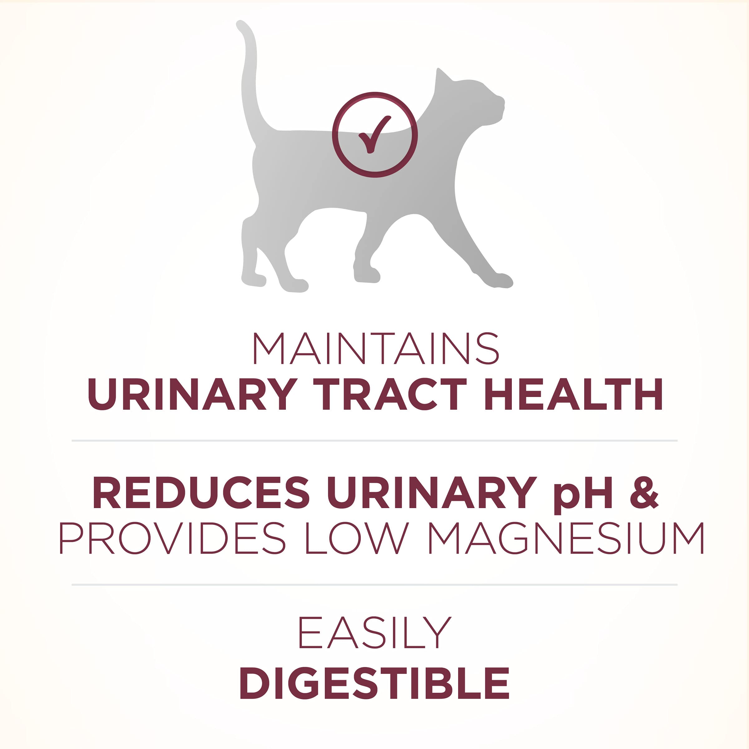 Purina ONE High Protein Dry Cat Food, +Plus Urinary Tract Health Formula - 7 lb. Bag