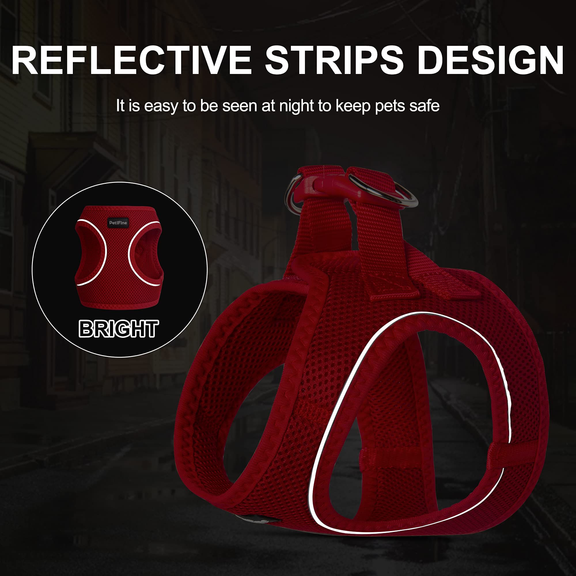 Petifine Extra Small Step In Dog Harness And Leash Set, Cat Harness And Leash Escape Proof, All Weather Mesh Reflective, Step-In Air Vest Harnesses For Puppy(Xxxs, Red)