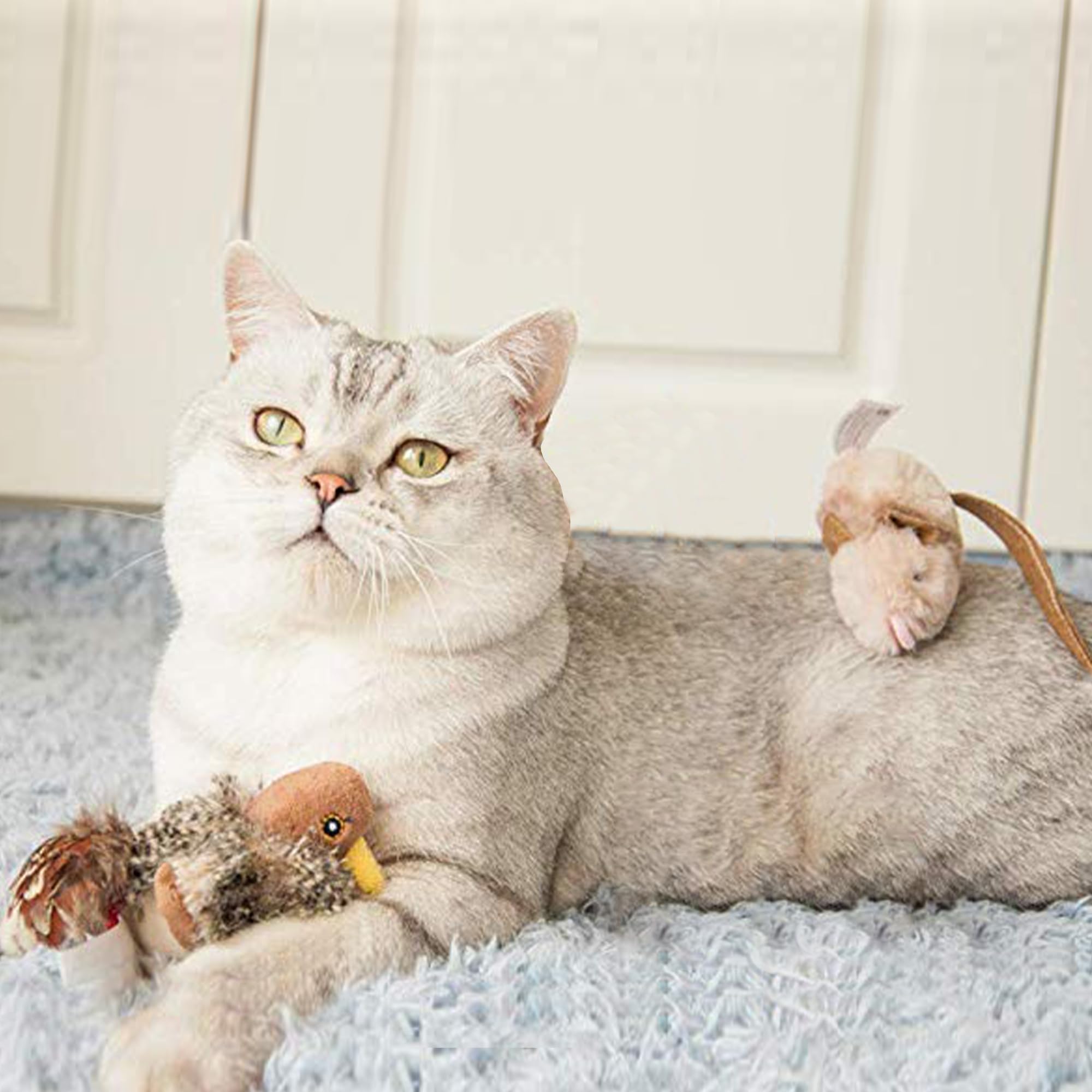 Gigwi Automatic Cat Toys Pack, Interactive Cat Toys Electronic Squeaky Animals Bird And Mouse, Plush Toys For Cats To Play Alone