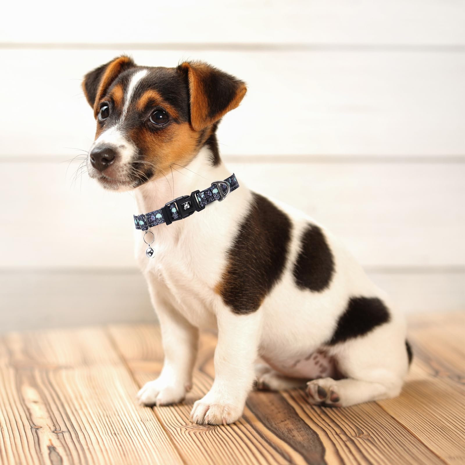 Reflective Puppy Collar With Bell For Small Dogs -Lightweight & Comfortable Soft Nylon Collars Gift For Boys Or Girls Dogs -Skul