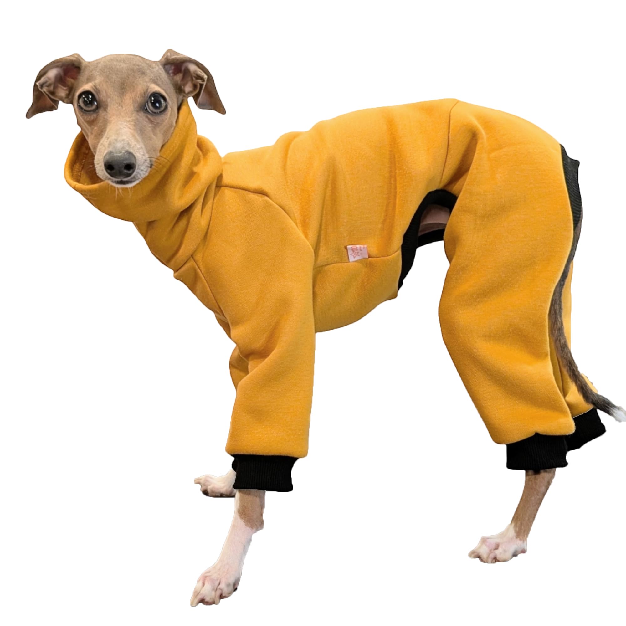 D Doggy Star Italian Greyhound Clothes Strechy Fleeced Lining Simple Onesie Whippet For Dog Coat (S,Simple Mustard)