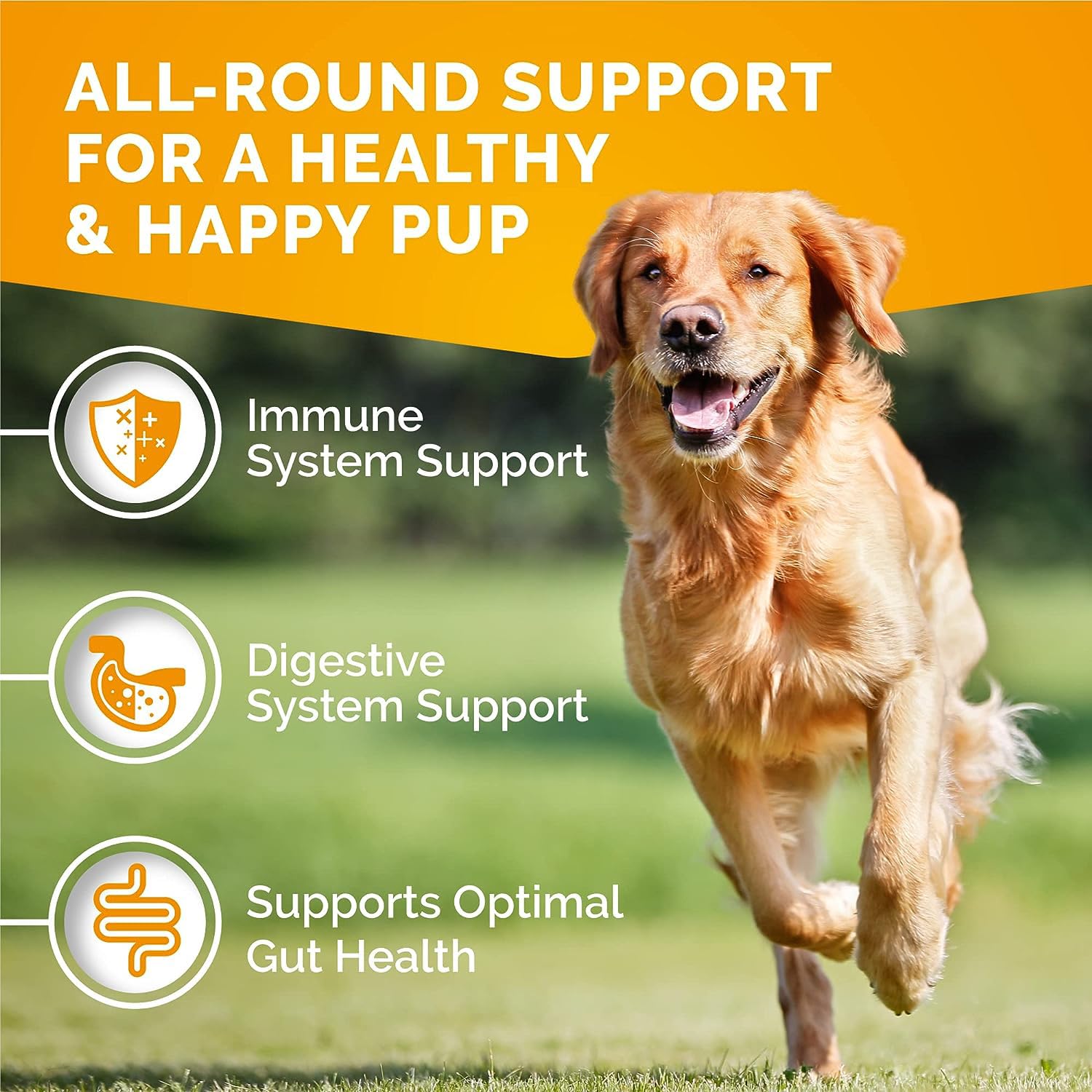 PREMIUM CARE Itch Relief for Dogs - 120 Allergy Chews for Dogs - Anti Itch Seasonal Support for Pets Itchy Skin Relief Skin Heal