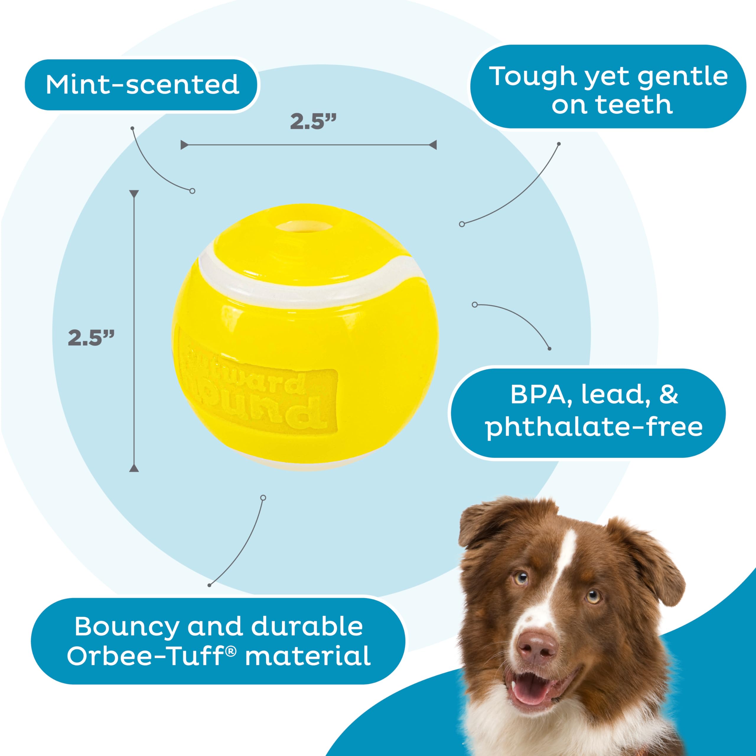 Planet Dog Orbee-Tuff Tennis Ball - Durable Yellow Plastic Dog Toy - 1 Ball - Model 68716