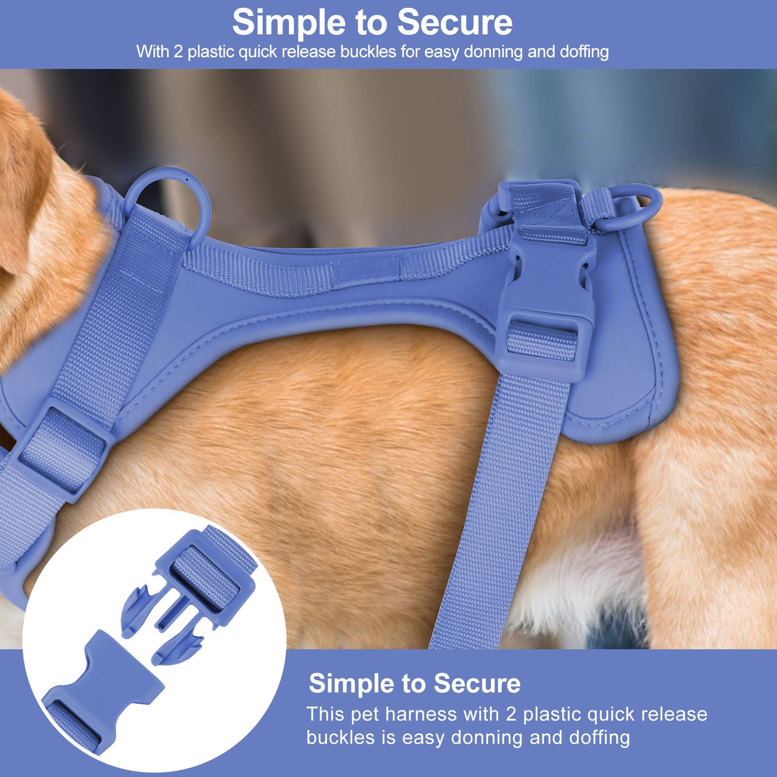 Wisedog No Pull Lightweight Dog Vest Harness With Soft And Comfortable Cushion, Breathable Mesh, For Small Medium Large Dogs Walking (Xs(Neck: 7.48'-10.63';Chest: 10.63'-15.35'), Blue)
