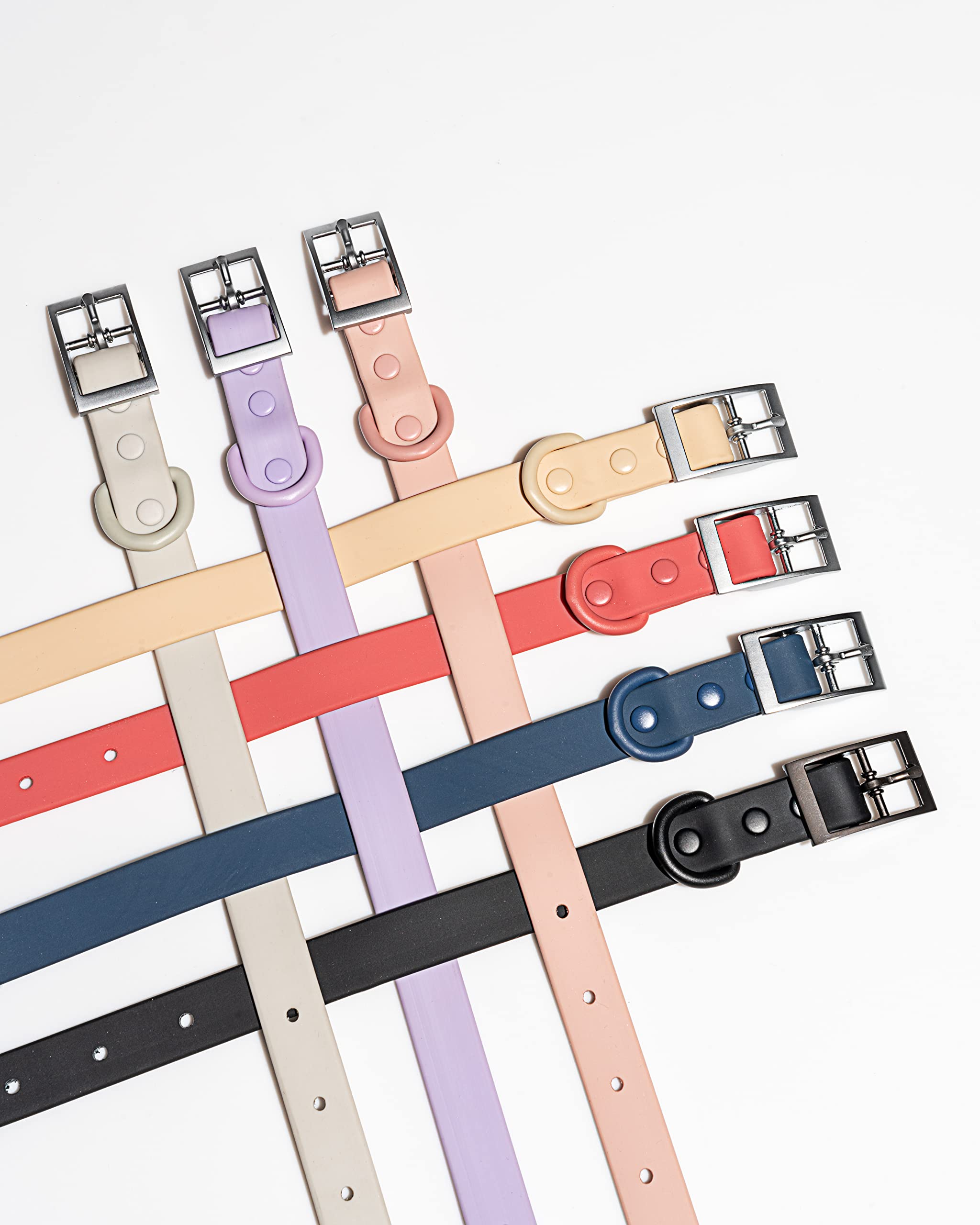 Wild One Collar - Medium - Lilac