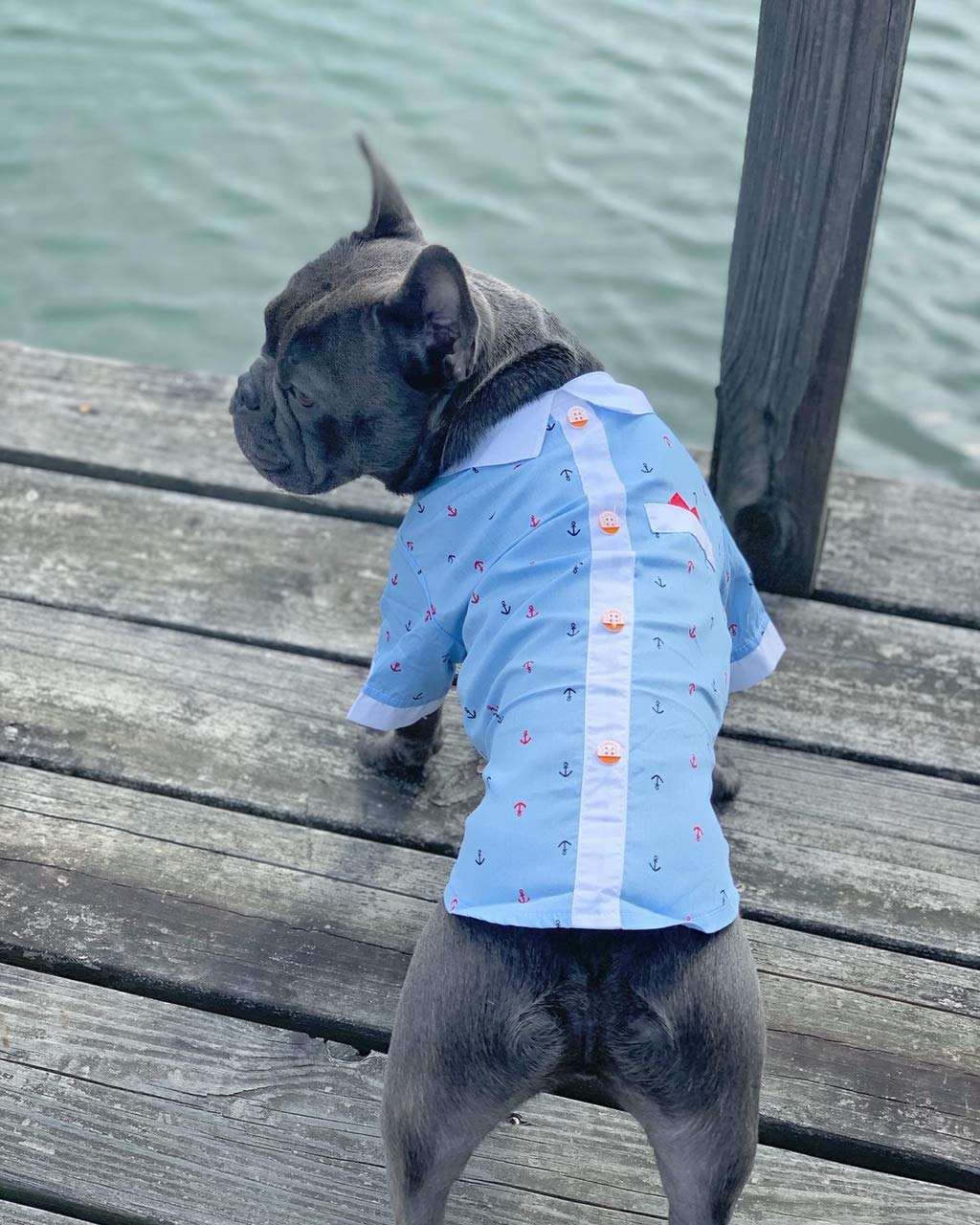 Parisian Pet Dog Clothes Cat Apparel Outfits Anchor Shirt & Hanky, M