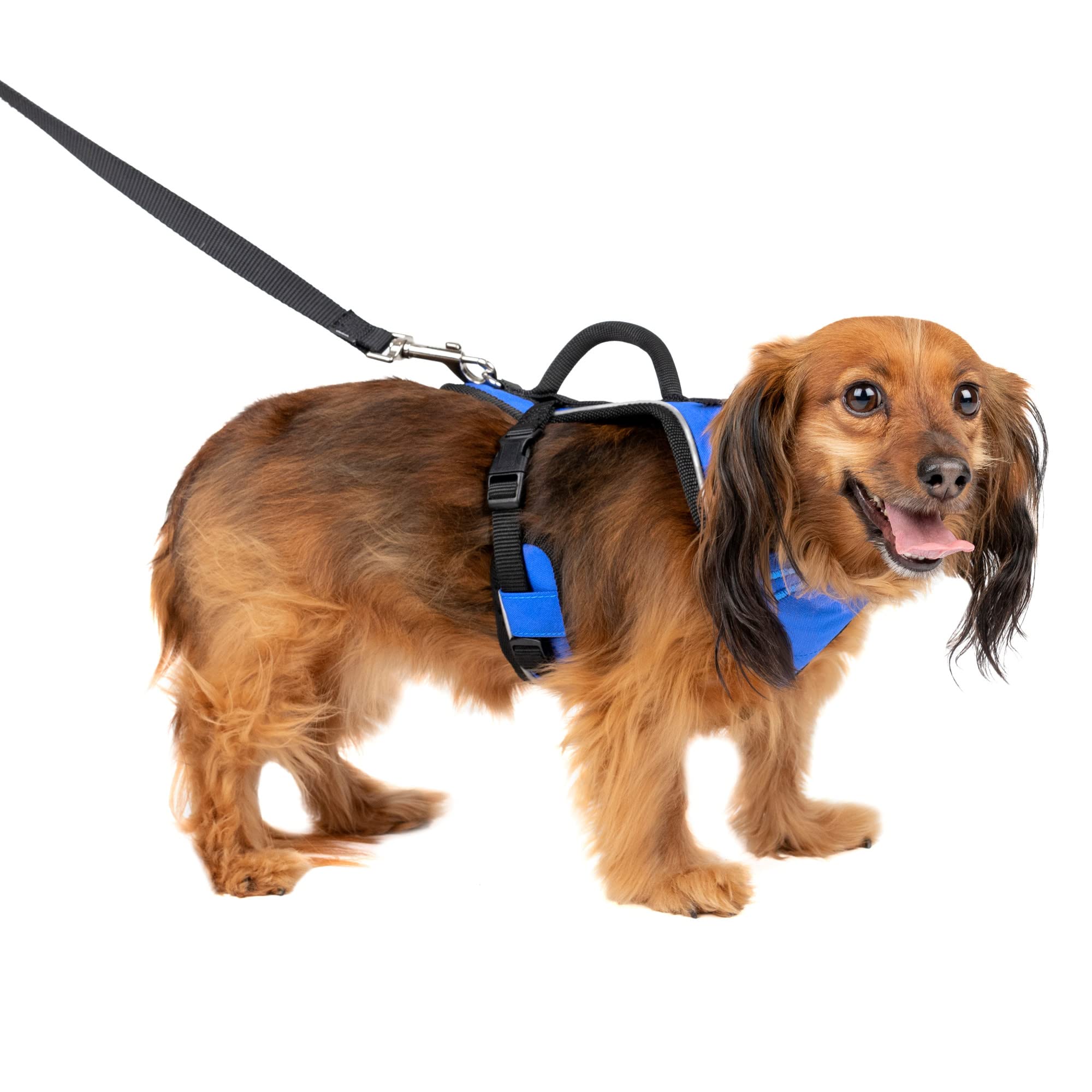 Petsafe Easysport Dog Harness, Adjustable Padded Dog Harness With Control Handle And Reflective Piping, From The Makers Of The E