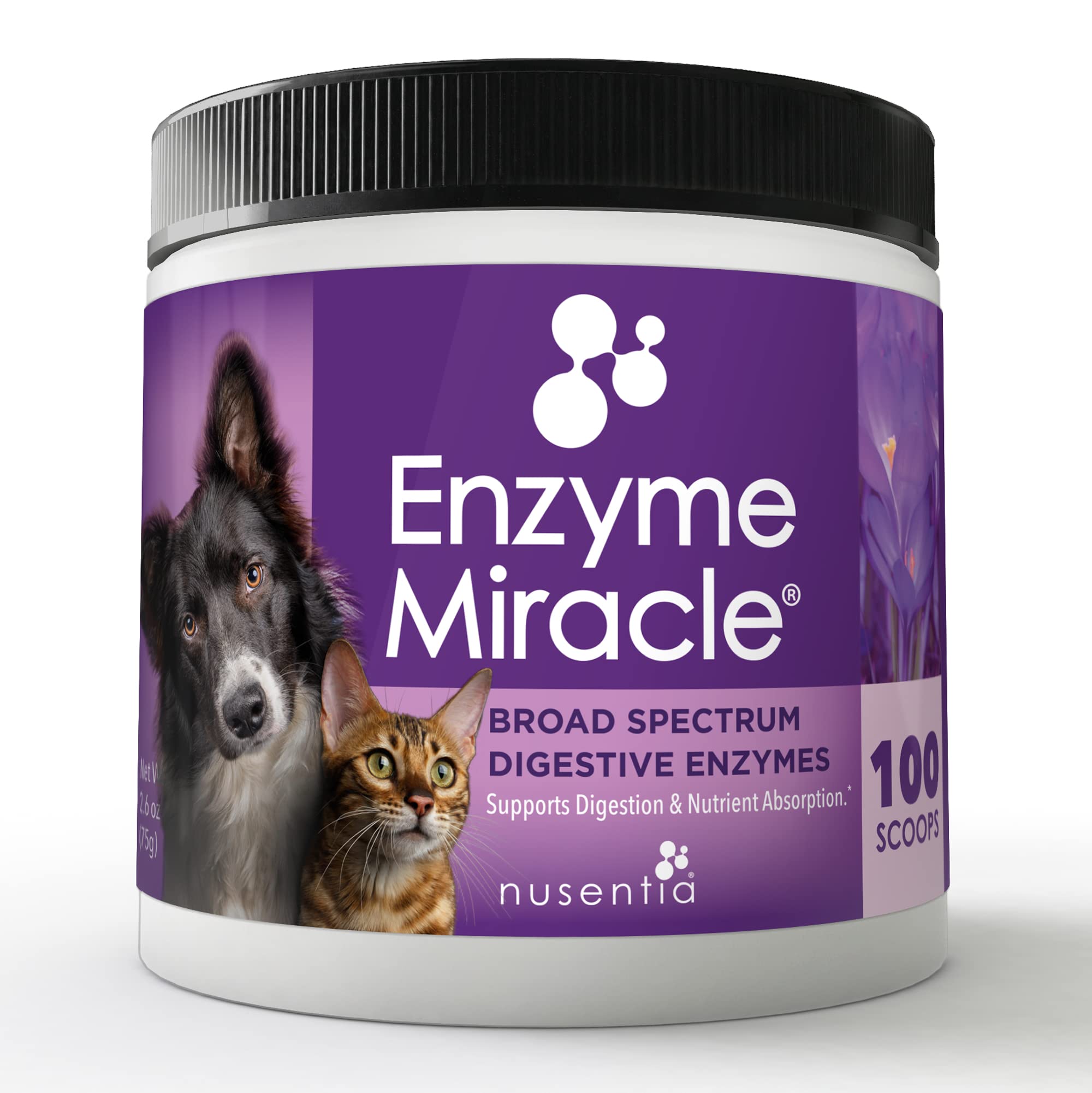 Enzymes for Cats & Dogs : Enzyme Miracle (100 Servings) : for Digestive Stress, Pancreatic Concerns, and Healthy Weight Manageme