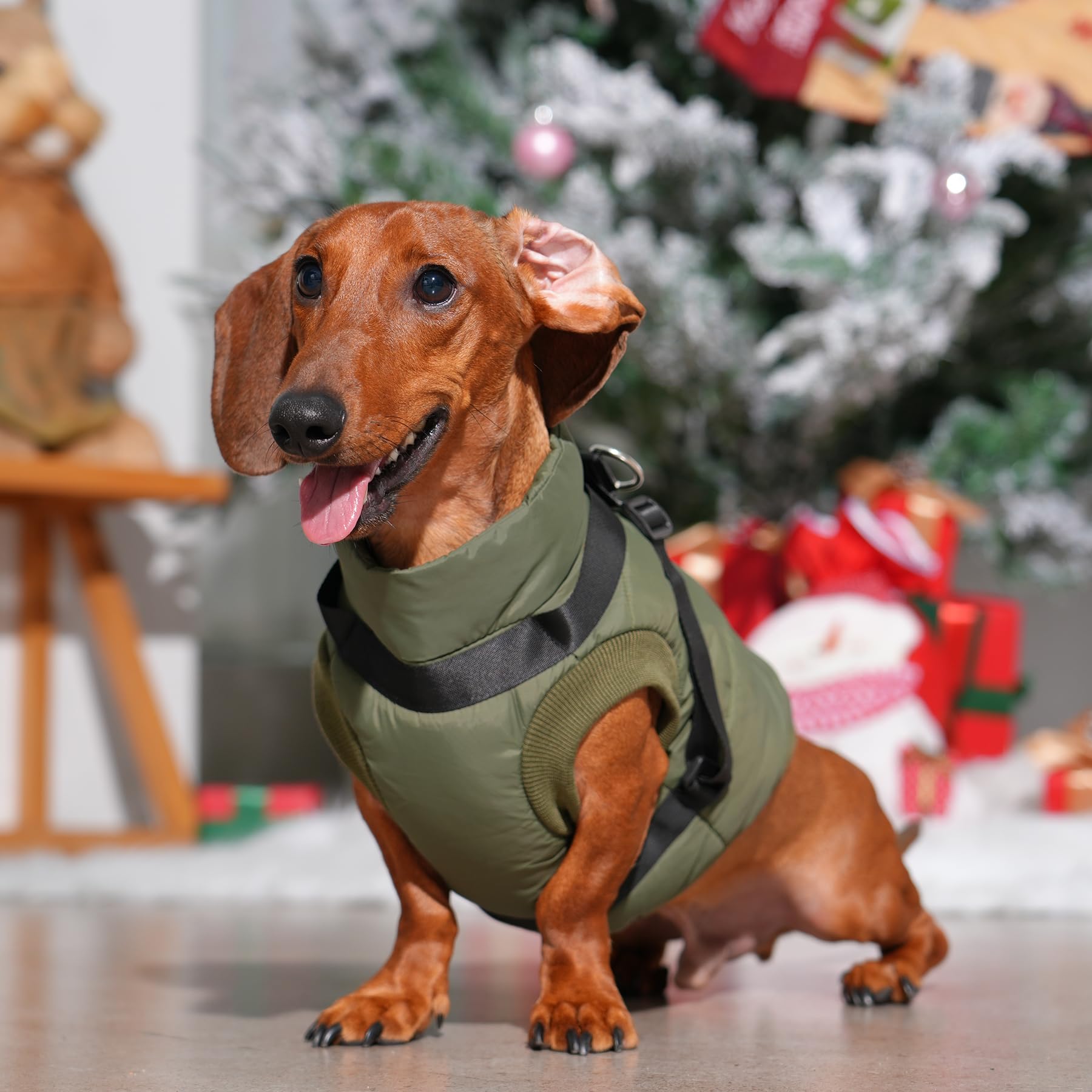 Joydaog Dog Jacket With Harness,Fleece Lined Warm Puppy Coat For Winter,Soft Windproof Small Dog Vest,Green M