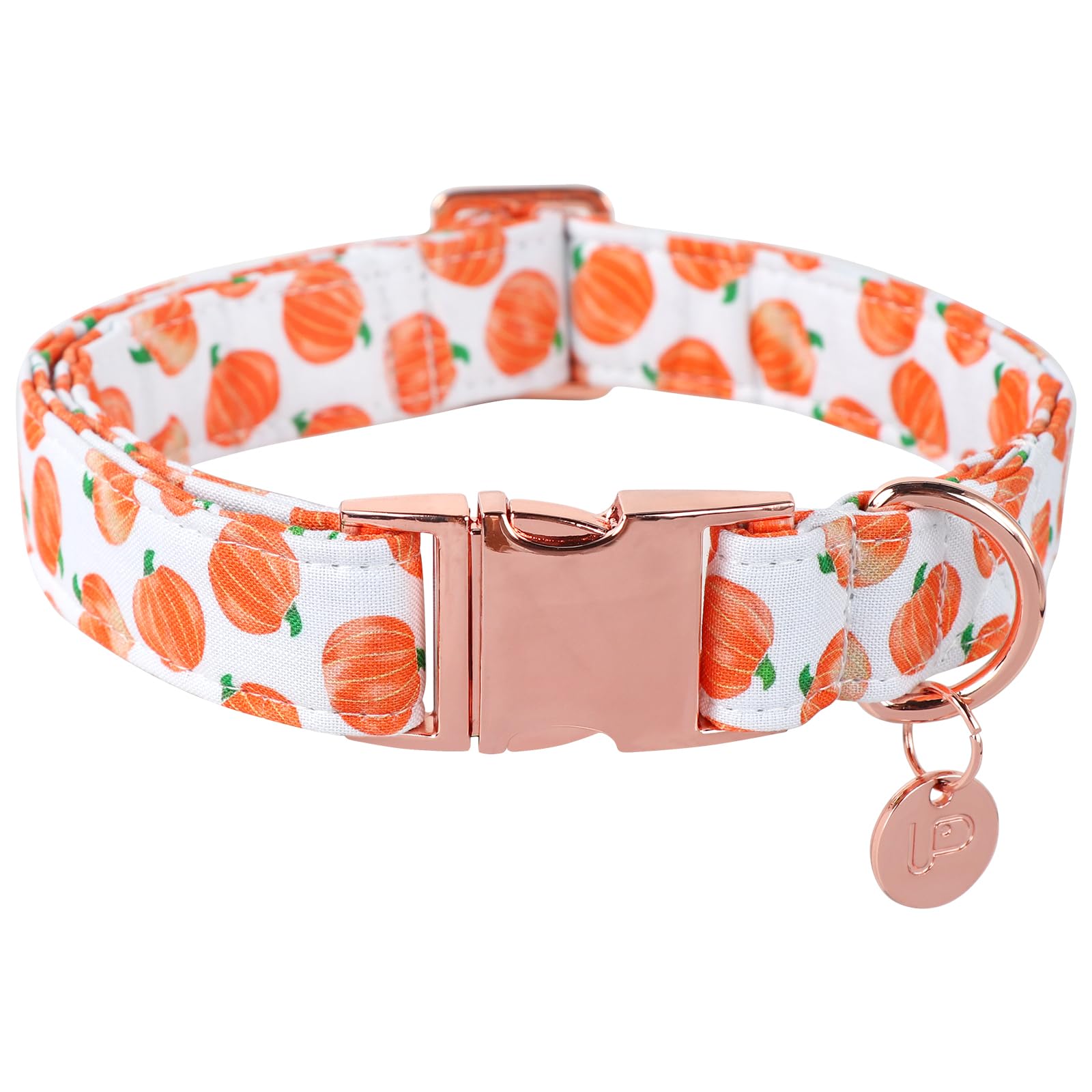 Up Urara Pup Halloween Dog Collar With Metal Buckle Gift Fall Dog Collar For Small Medium Large Girls Or Boys Dogs Cute Pumpkin 