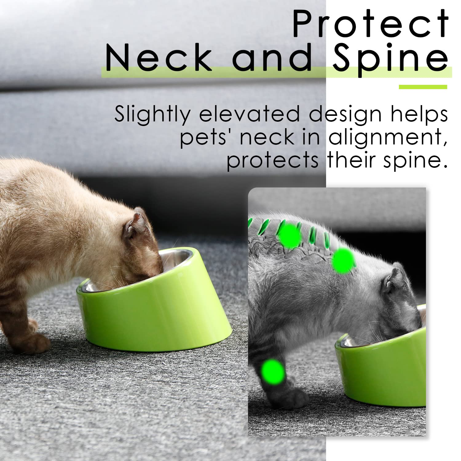Super Design Mess Free 15 Slanted Bowl for Dogs and Cats, Tilted Angle Bulldog Bowl Dog Feeder, Non-Skid & Non-Spill, Easier to