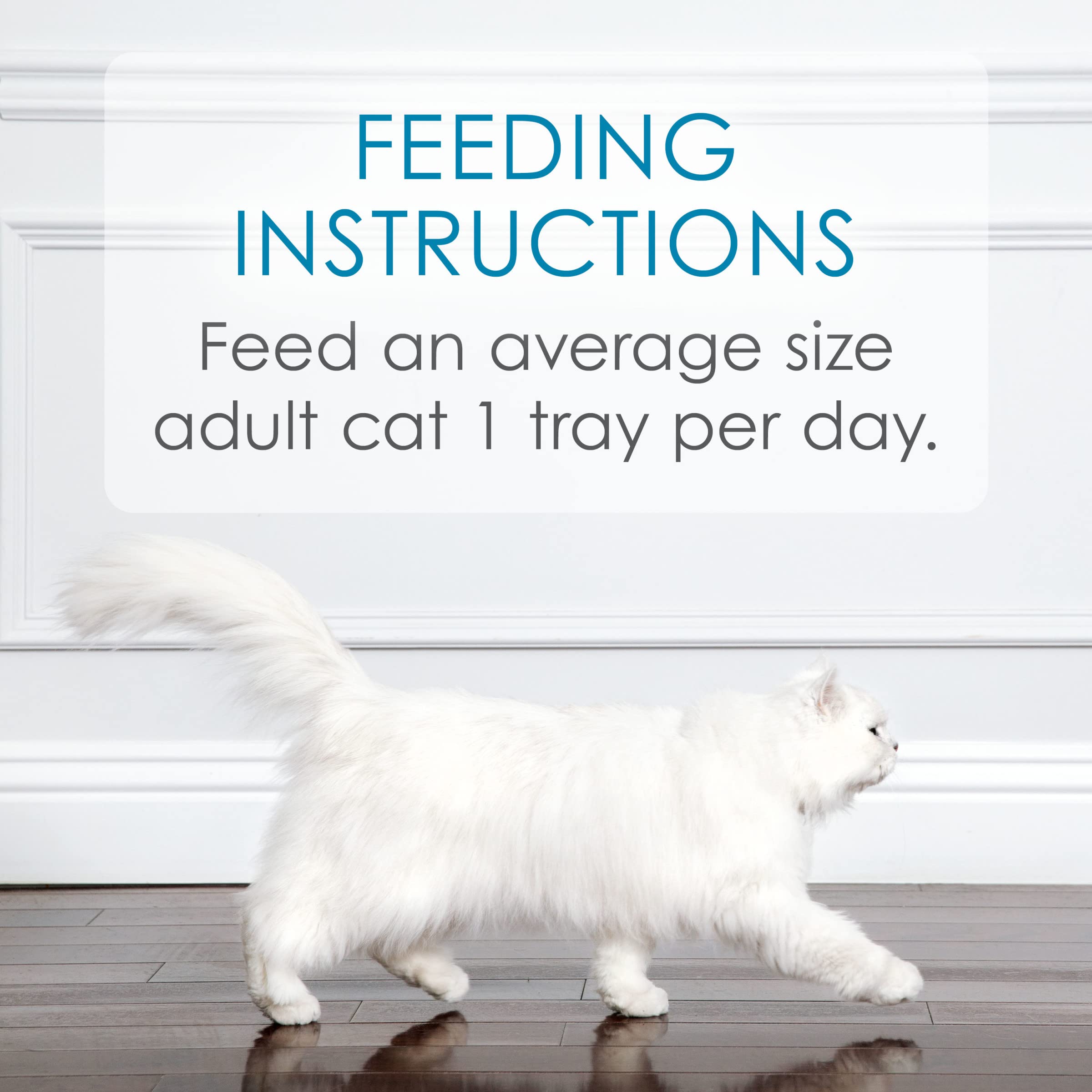 Purina Fancy Feast Appetizers Grain Free Cat Food Flaked Tongol Tuna Appetizer Lickable Cat Food Topper - (Pack of 10) 1.1 oz. T